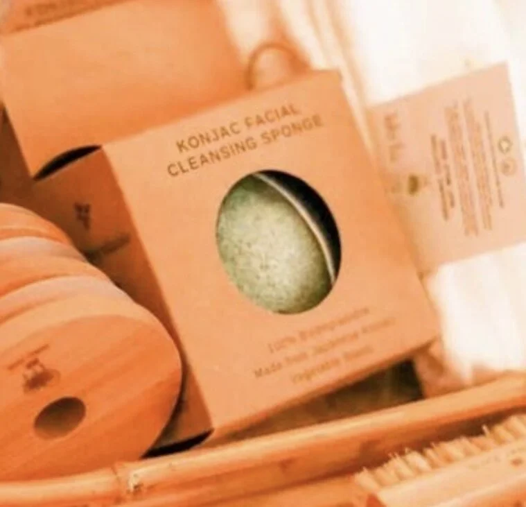 1C8A2E08-6078-424B-B727-CBB93A2D6162