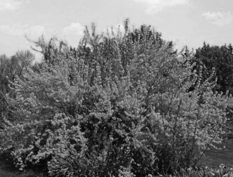 An Extraordinary God