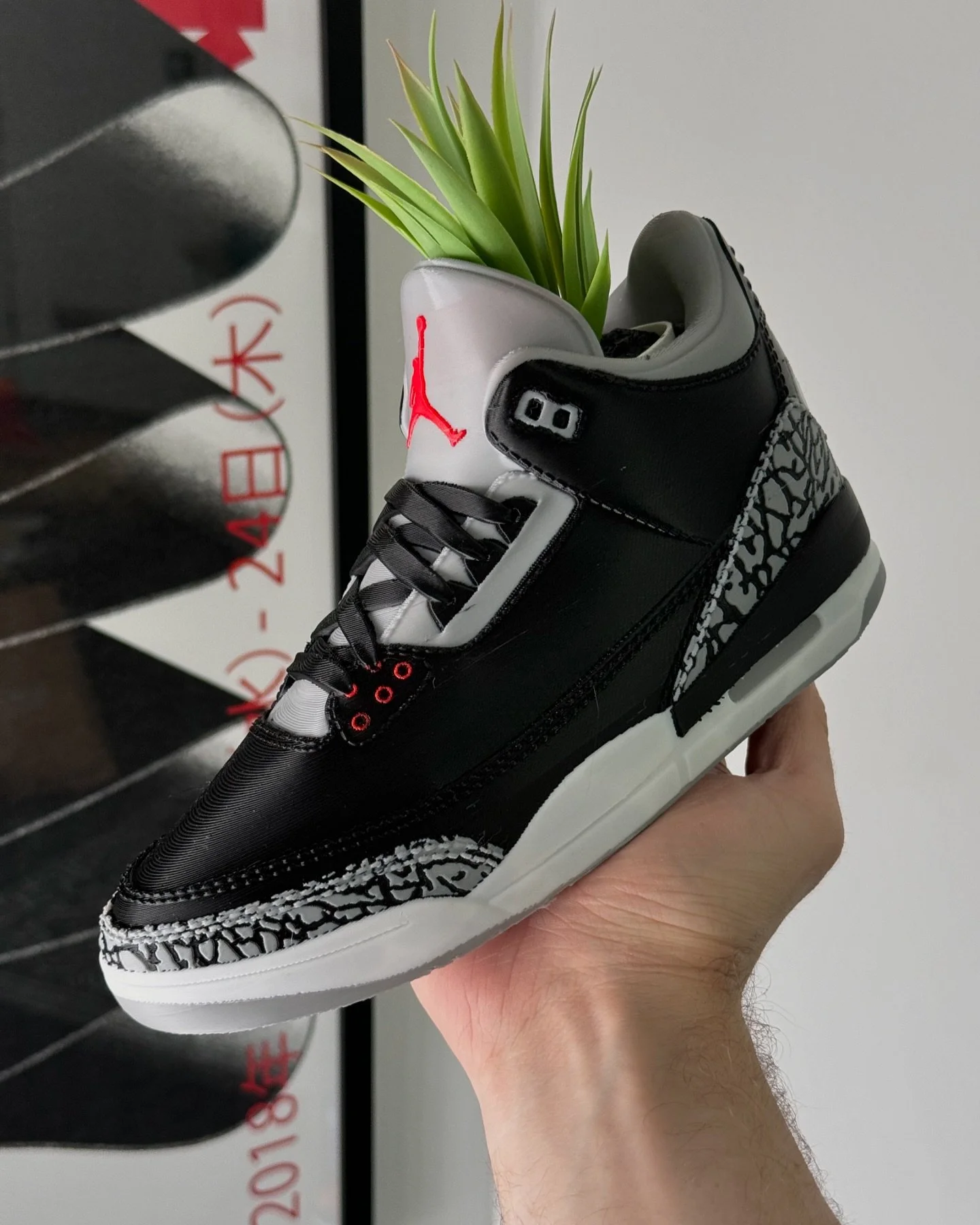 Black Cement 3 Orders open this Sunday 8pm UK Time 

Featuring an intricate elephant print, the details on this planter are not to be missed.

#sneakerplanters