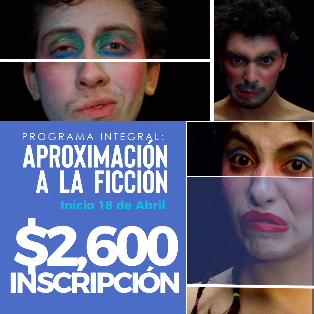 Programa Integral: Aproximación a la ficción