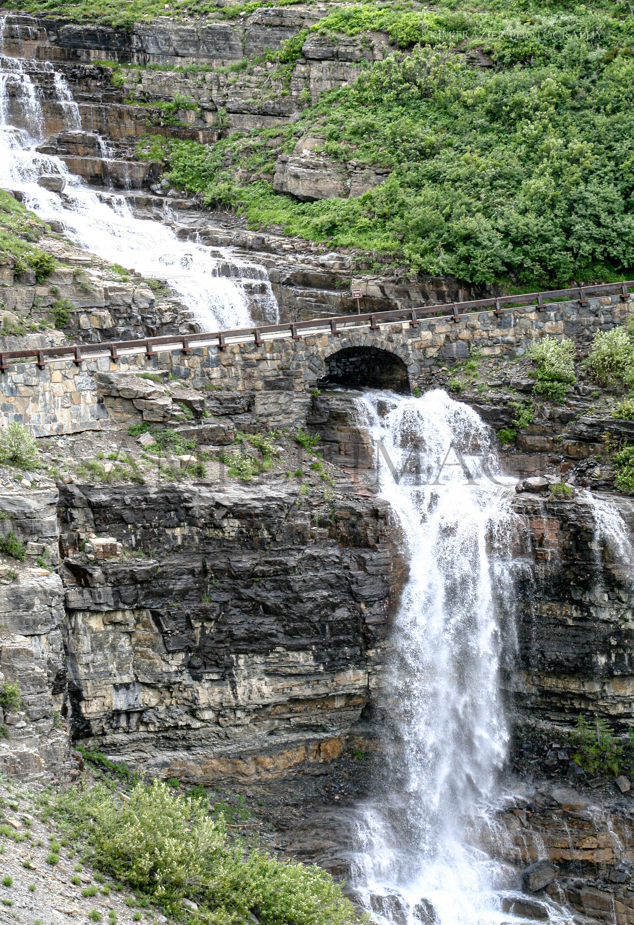 CO_RANDOM_007