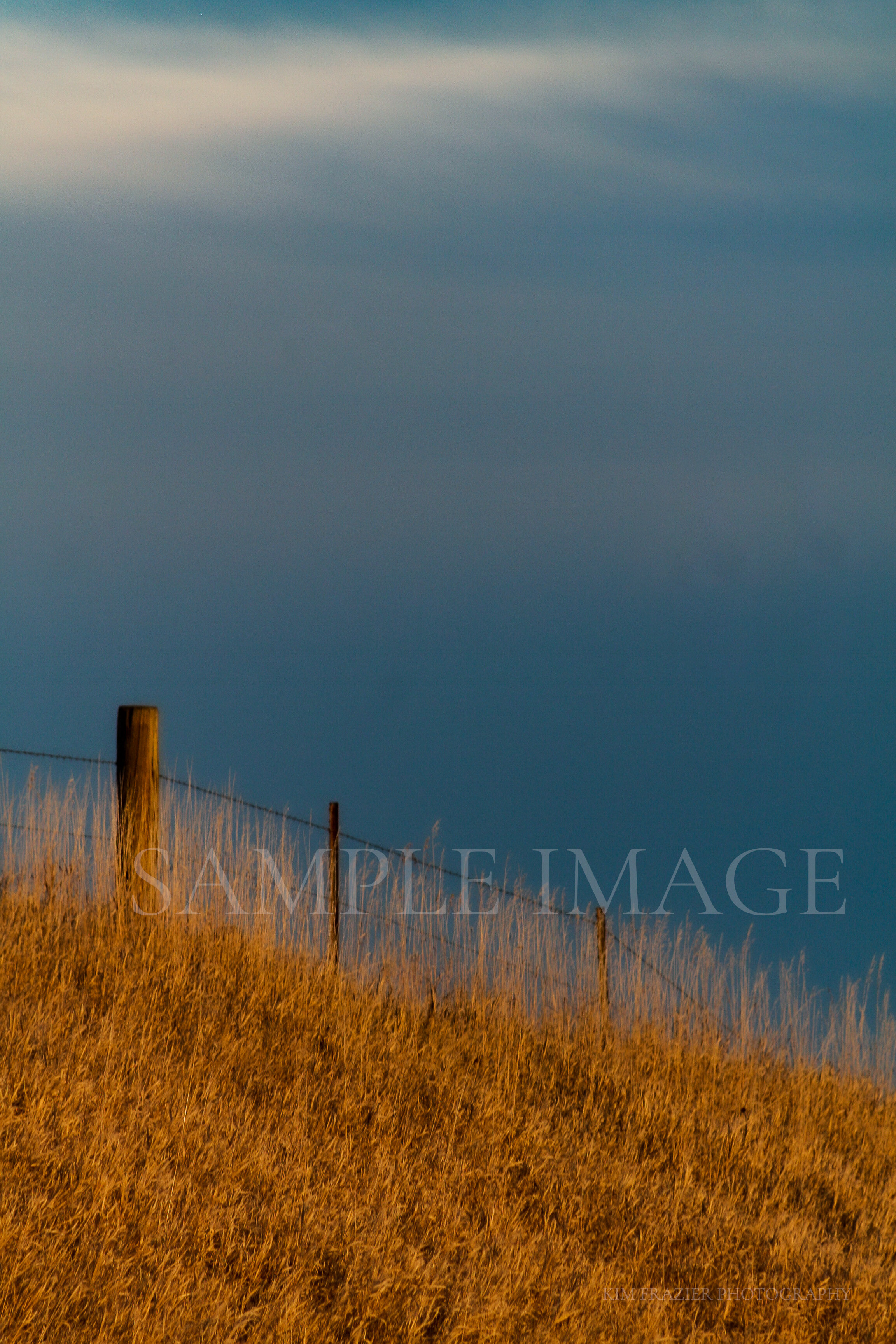 ND_RANDOM_008