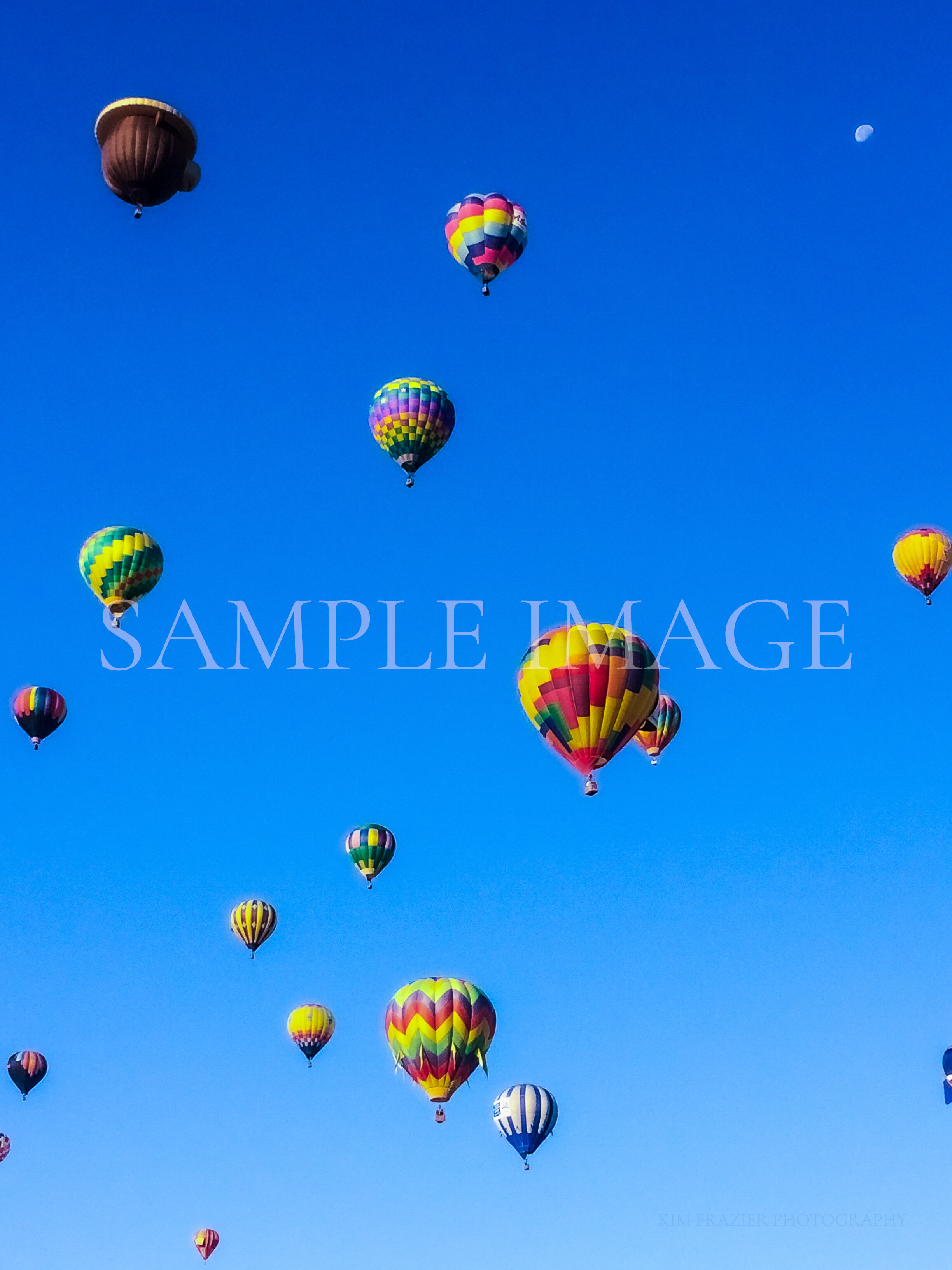 Hot Air Balloon