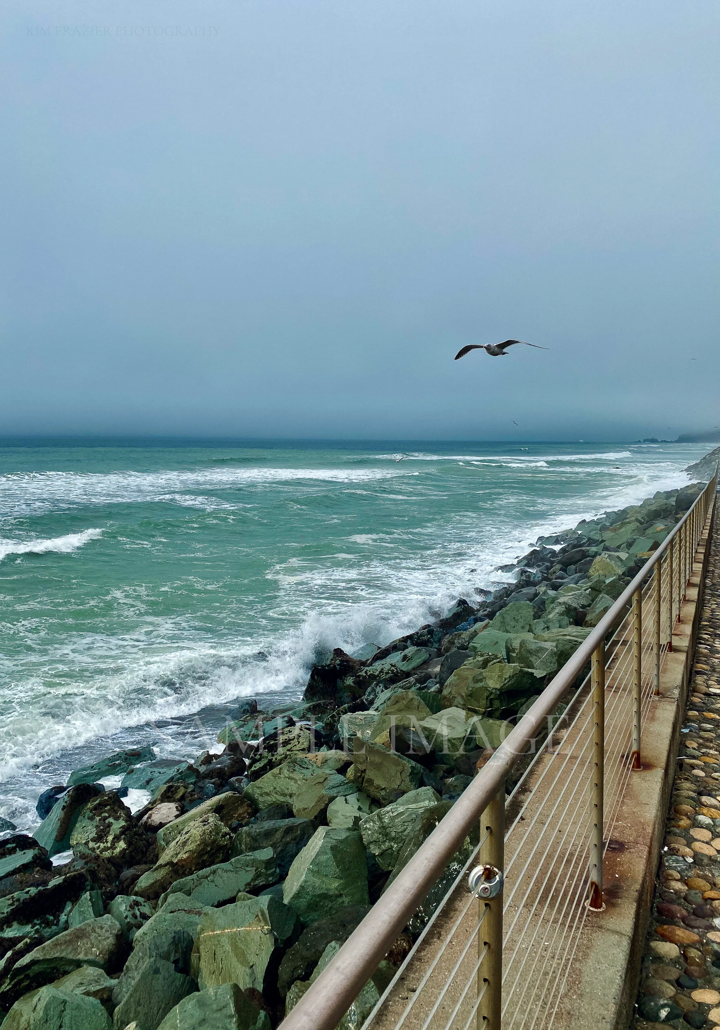 Railing with Locks at Beach