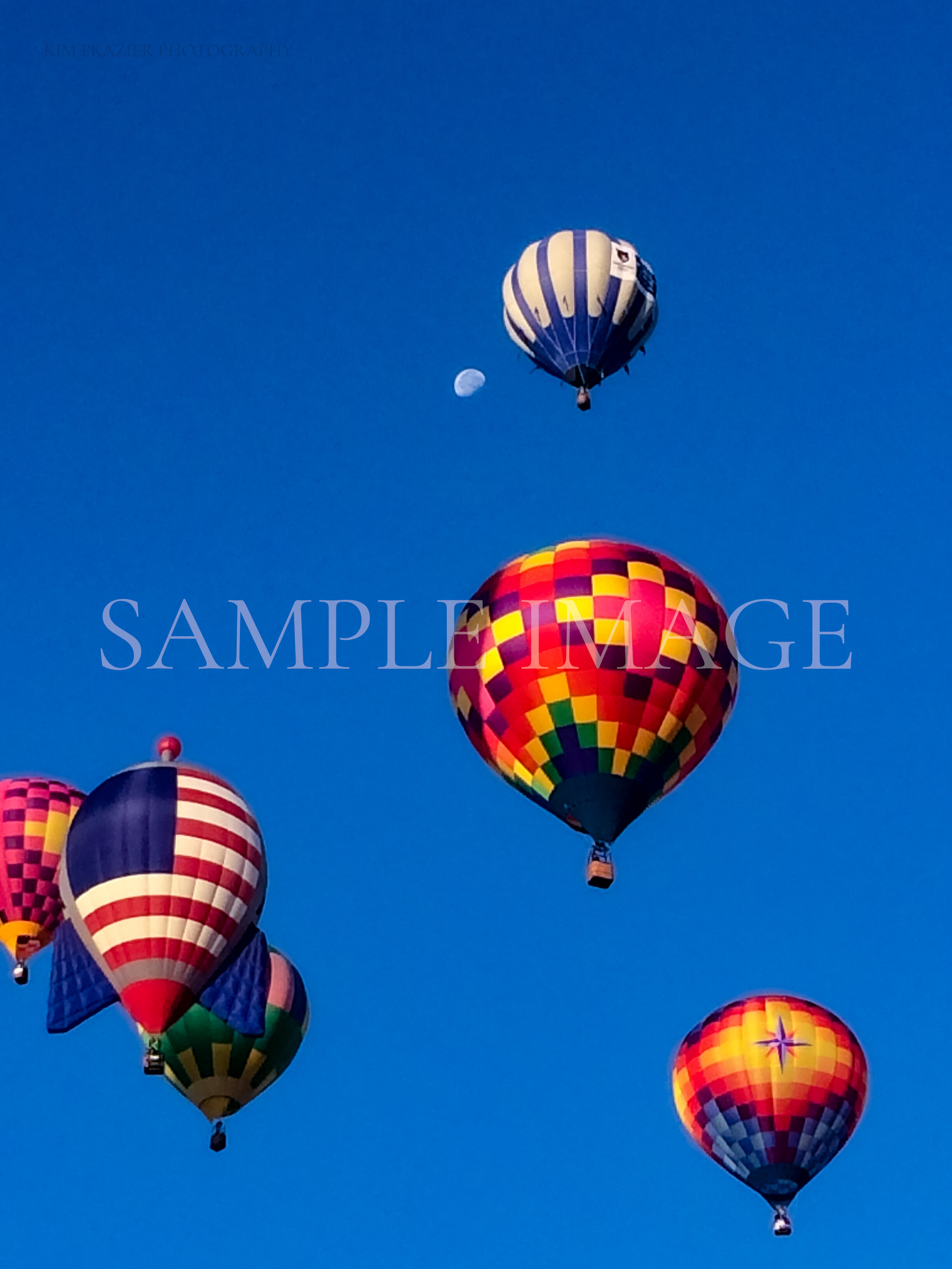 NV_RANDOM_205