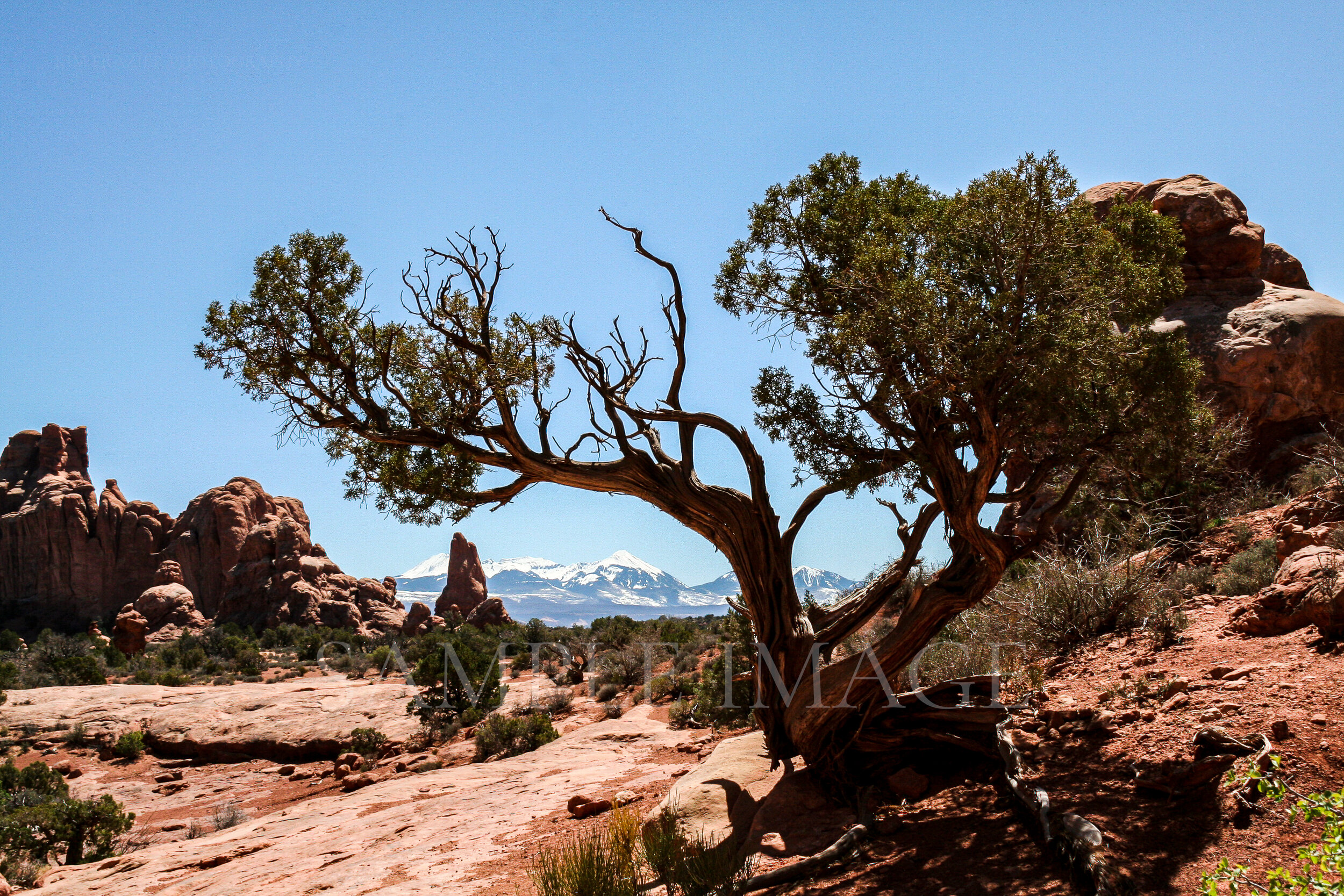 Utah Landscape
