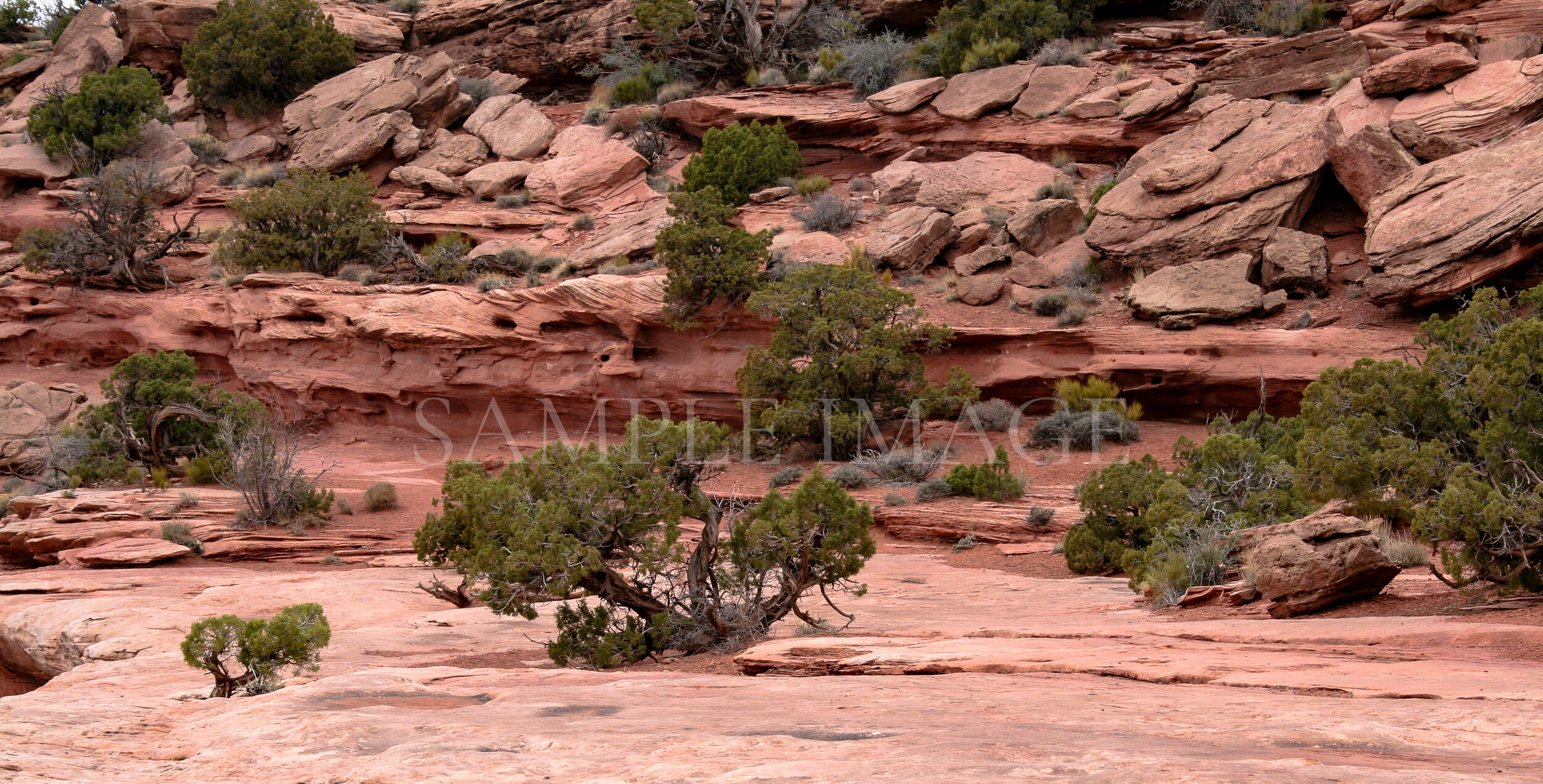 Utah Landscape