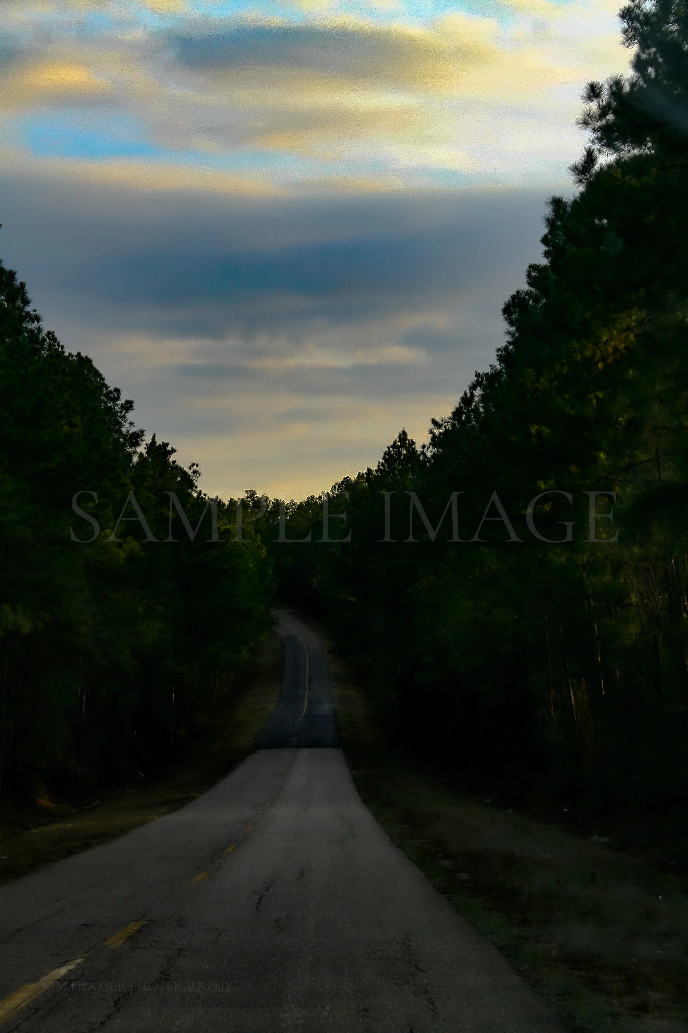 Road in Louisiana