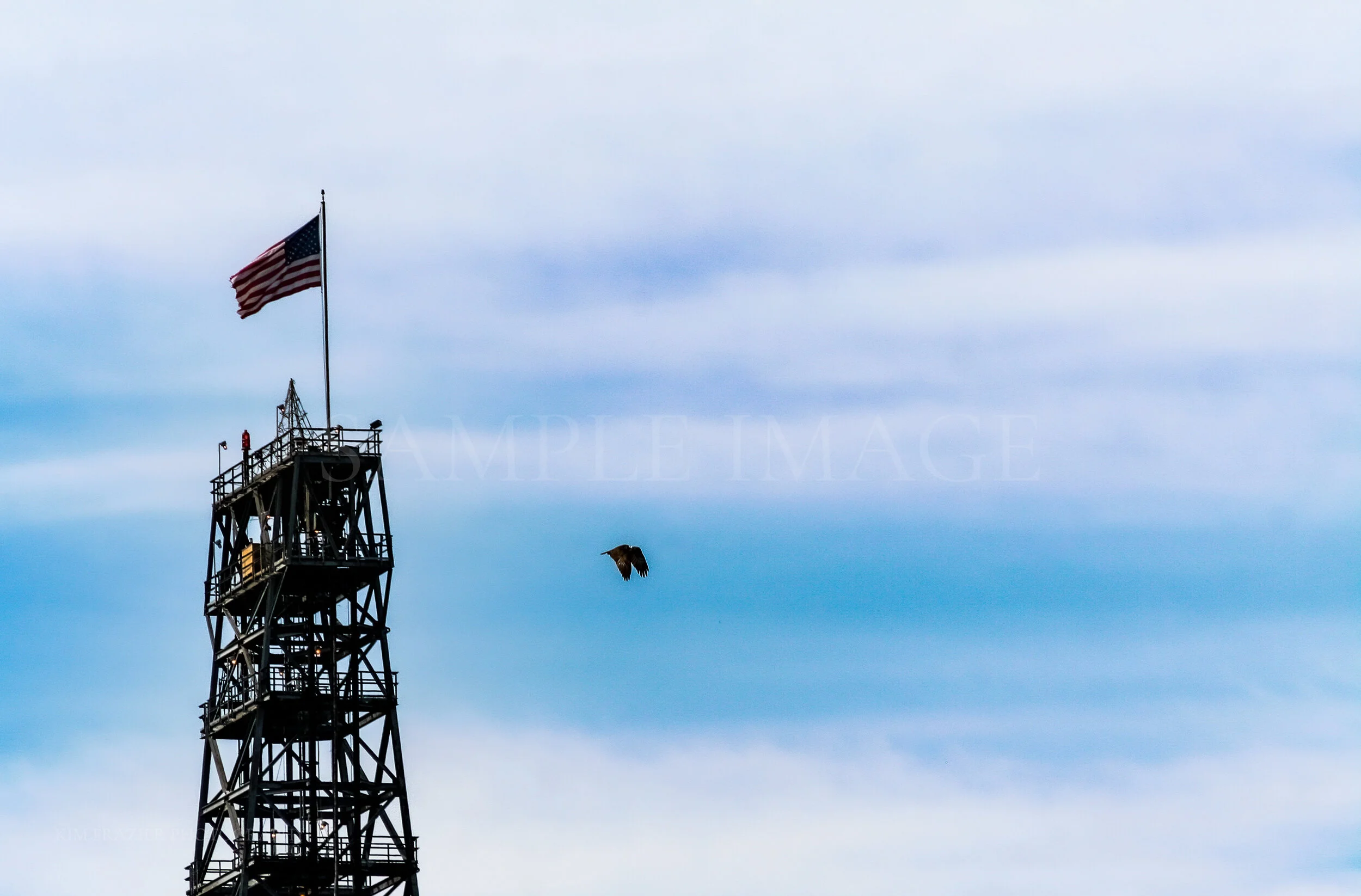US FLAG & EAGLE
