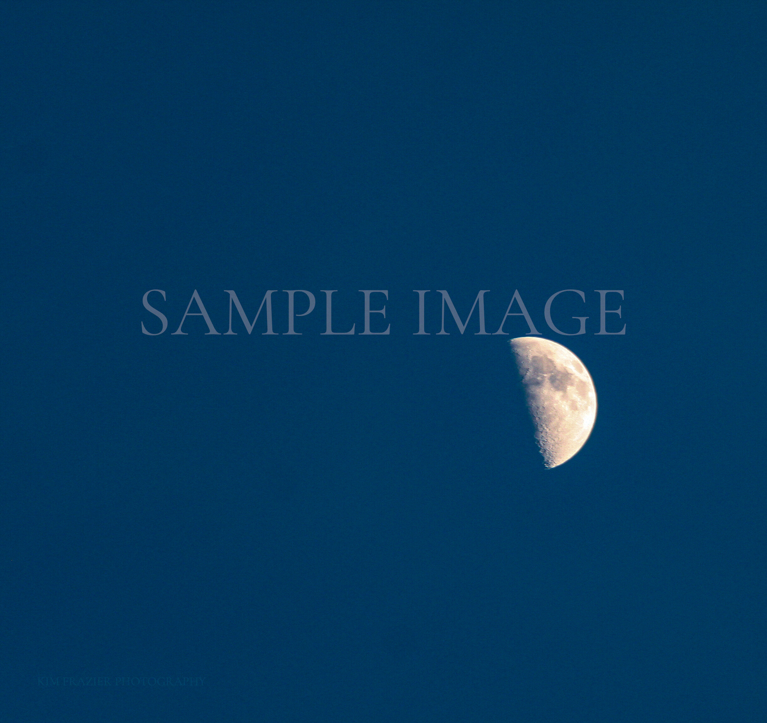 DESERT MOON