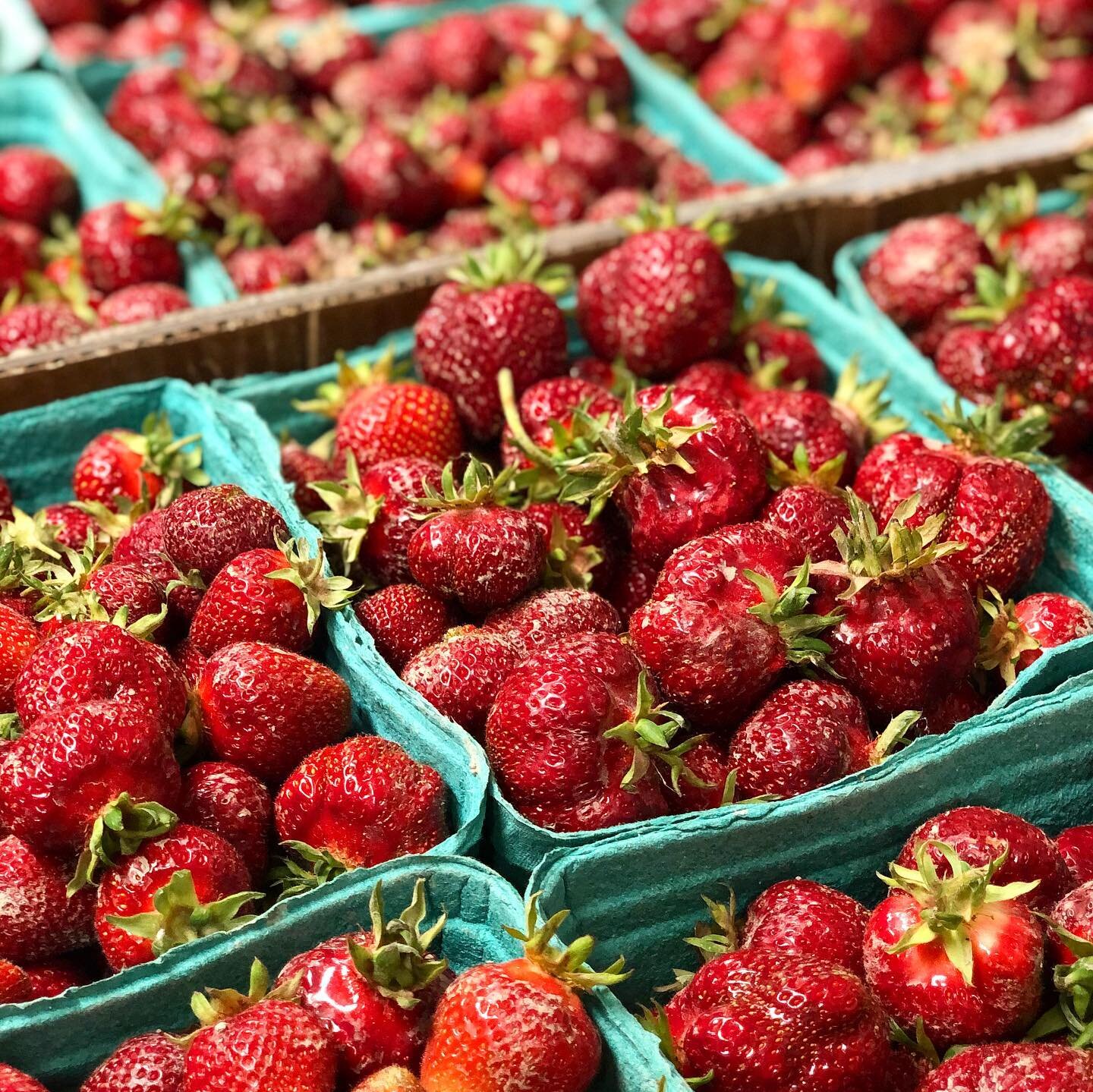 OMG!!!🍓🍓🍓

It&rsquo;s in! We have secured the goods! This is the shit!

These are local berries that I got straight from my farm source and they are freaking juicy, sweet and full of flavour! The skin is really fragile, the meat is soft and ripe t