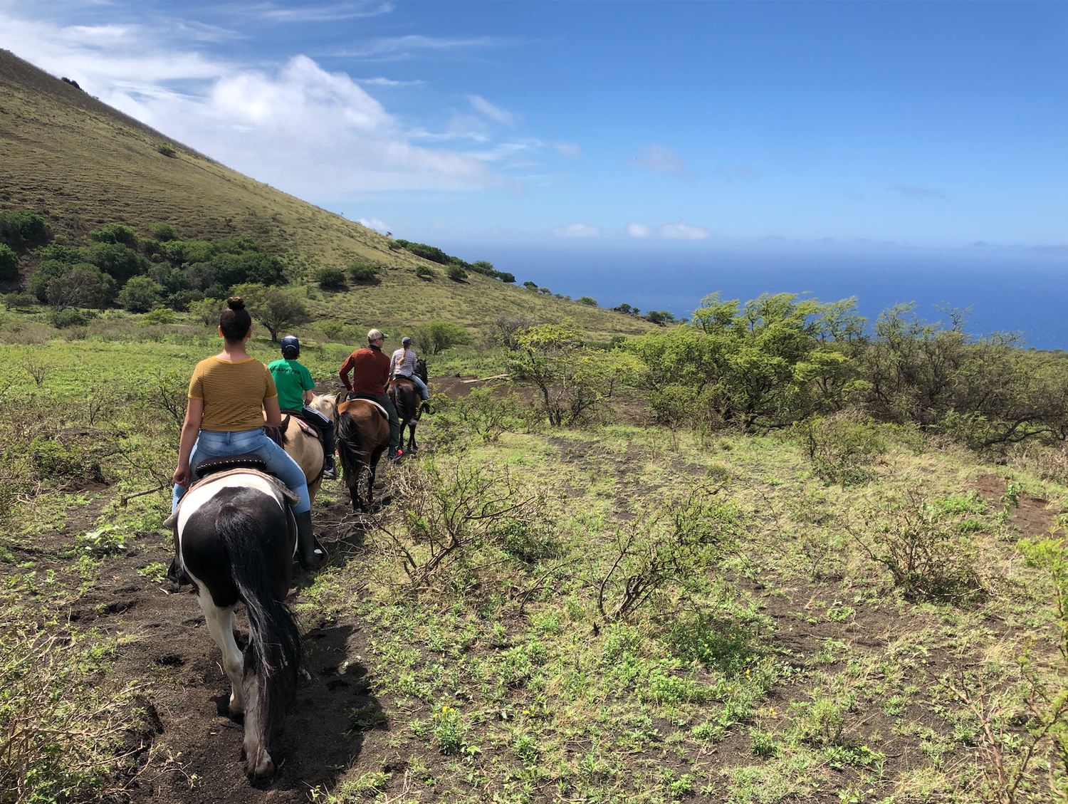 HORSEBACK RIDING MAUI