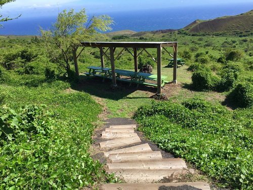 picnic-area.jpg