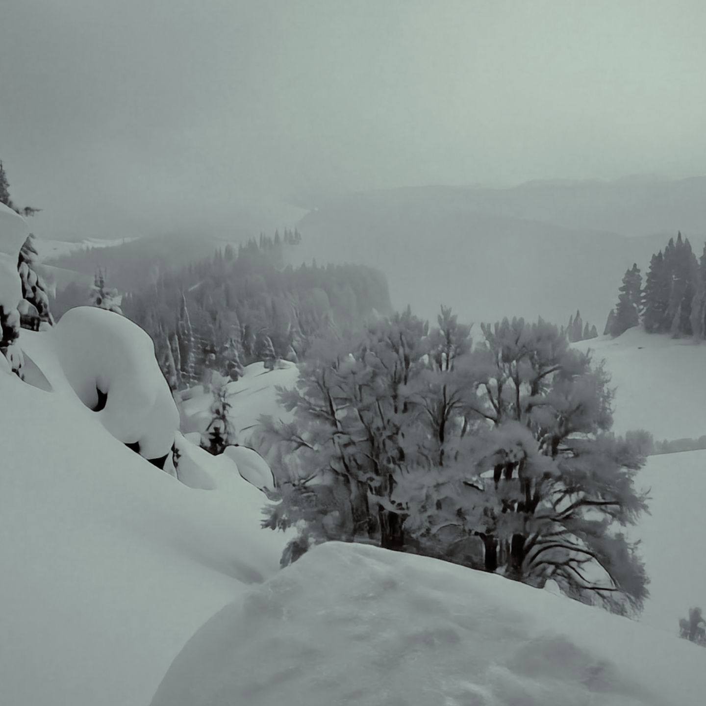 Acqua Di Gio 1x1 (0-00-22-03).png