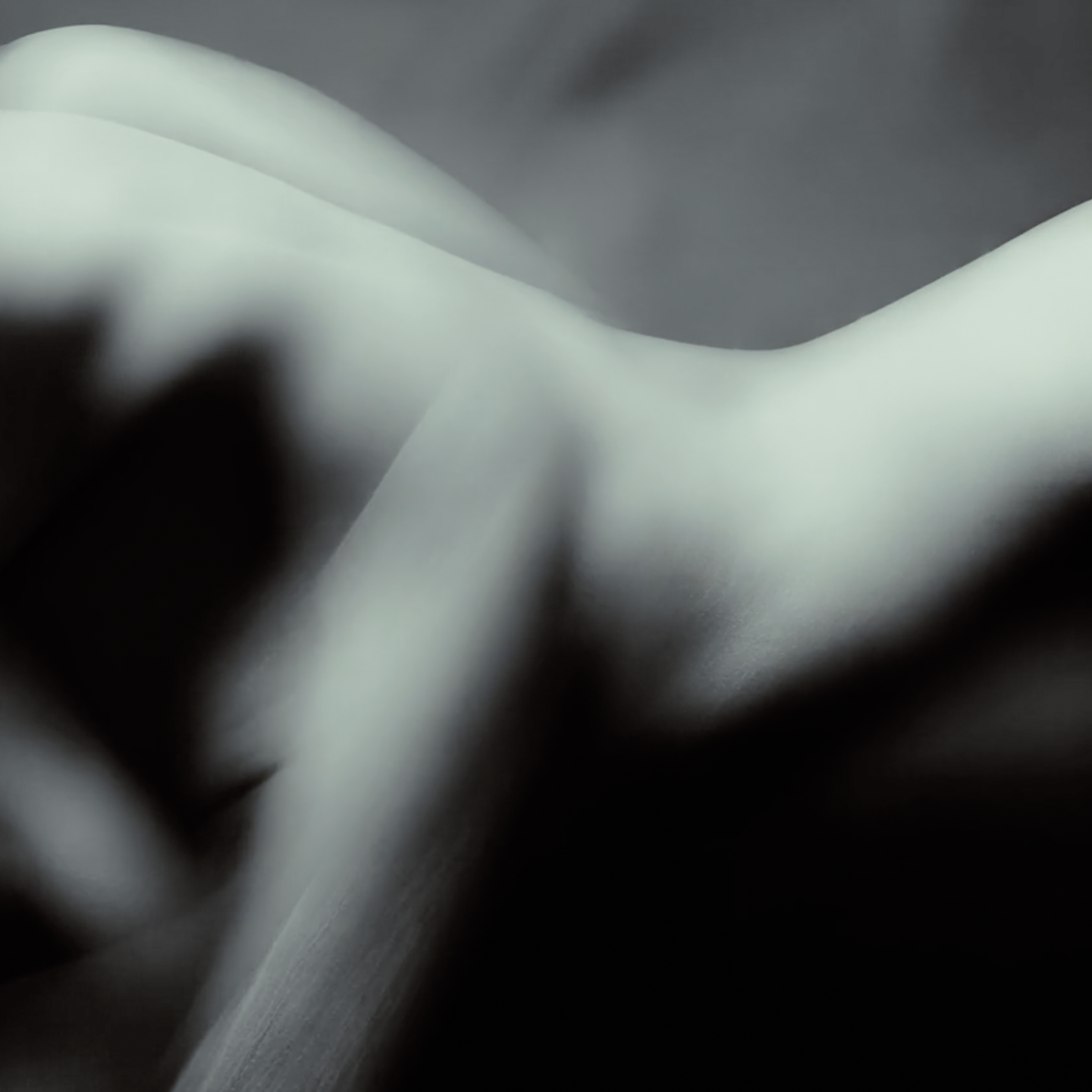 Acqua Di Gio 1x1 (0-00-05-08).png