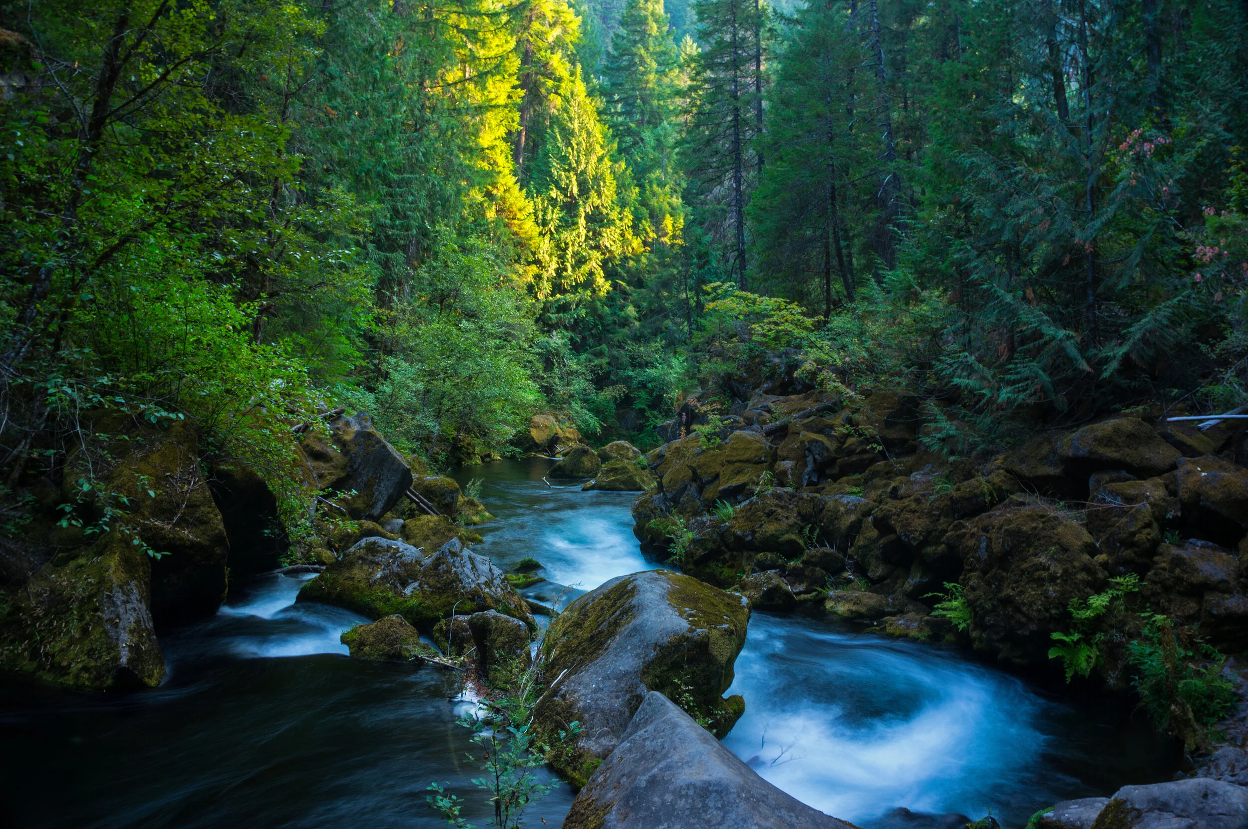 upper falls edit_edited-2.jpg
