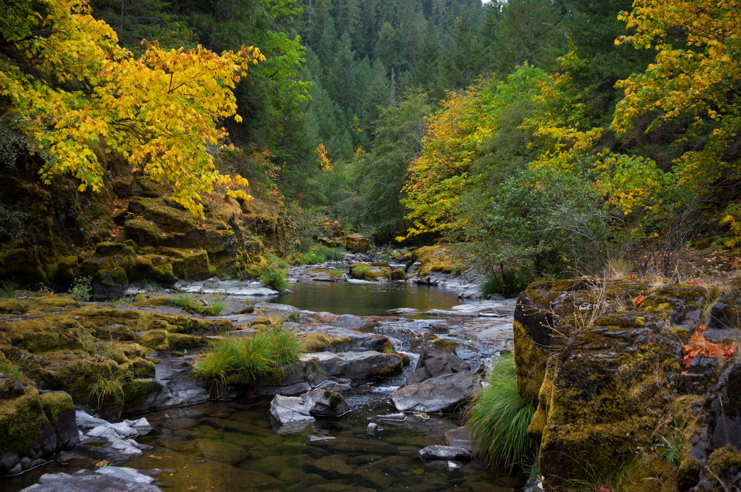 conyon creek.jpg