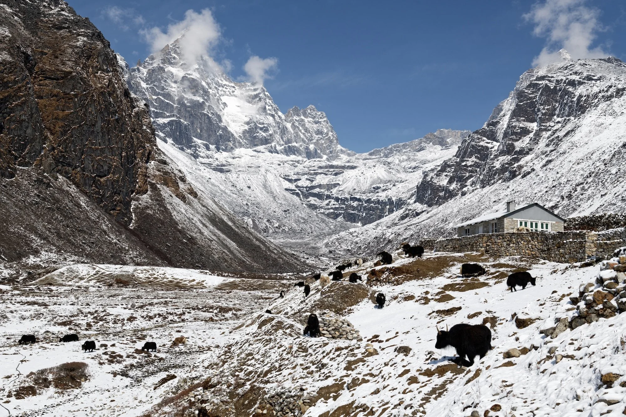 Solokhumbu - Nepal, 2024