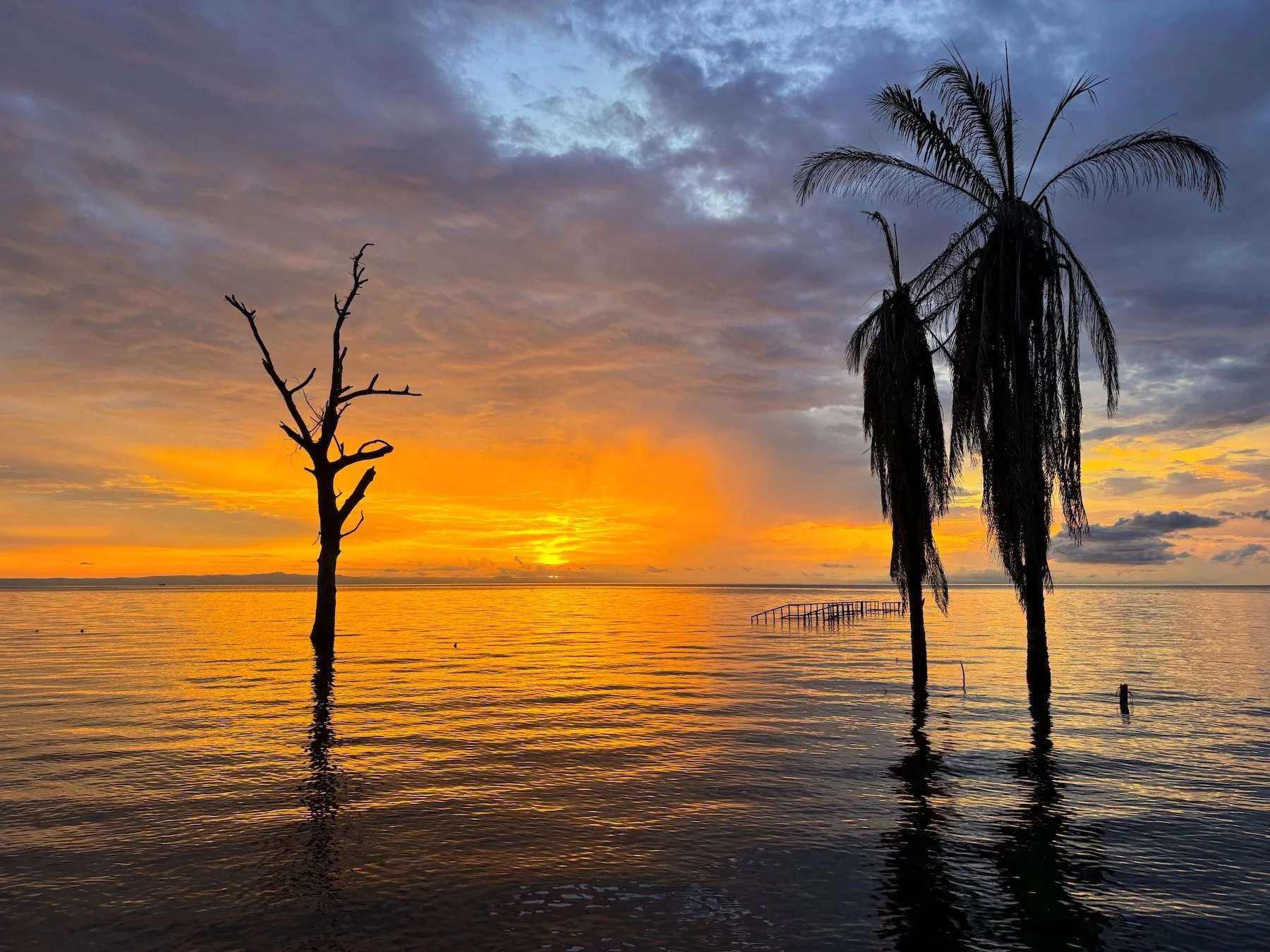 Lake Tanganyika - Tanzania, 2025