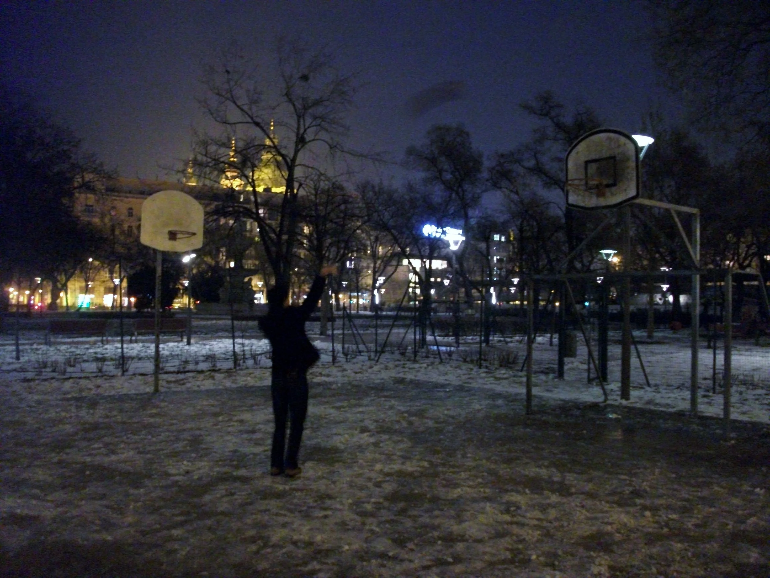 Budapest, Hungary, 2014