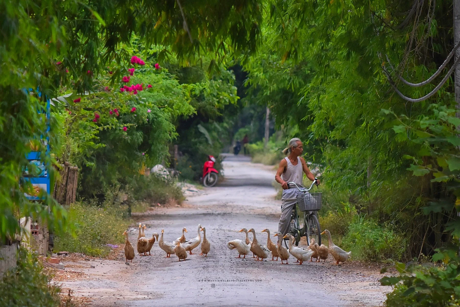 Ninh Binh - Vietnam, 2020