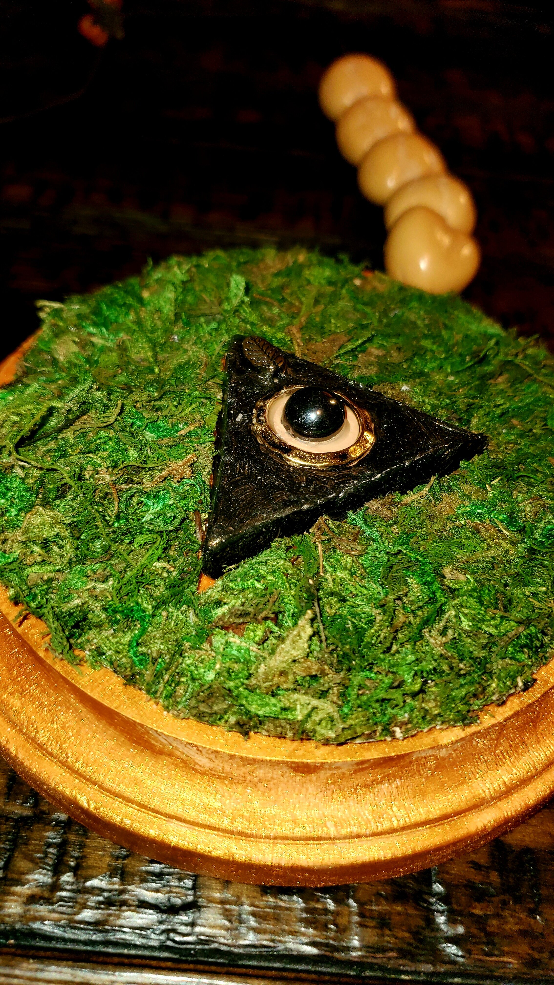 20201111_235629.jpg