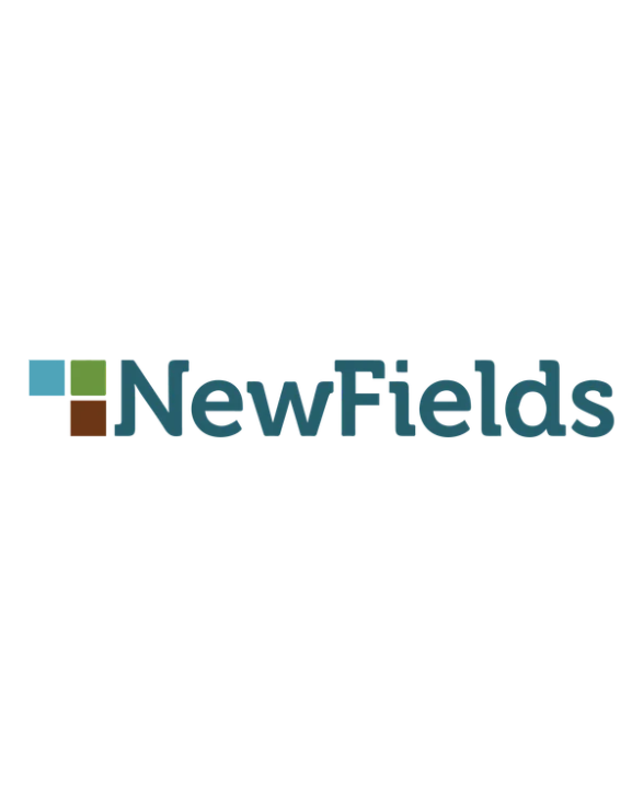 NewFields Mining Design & Technical Services