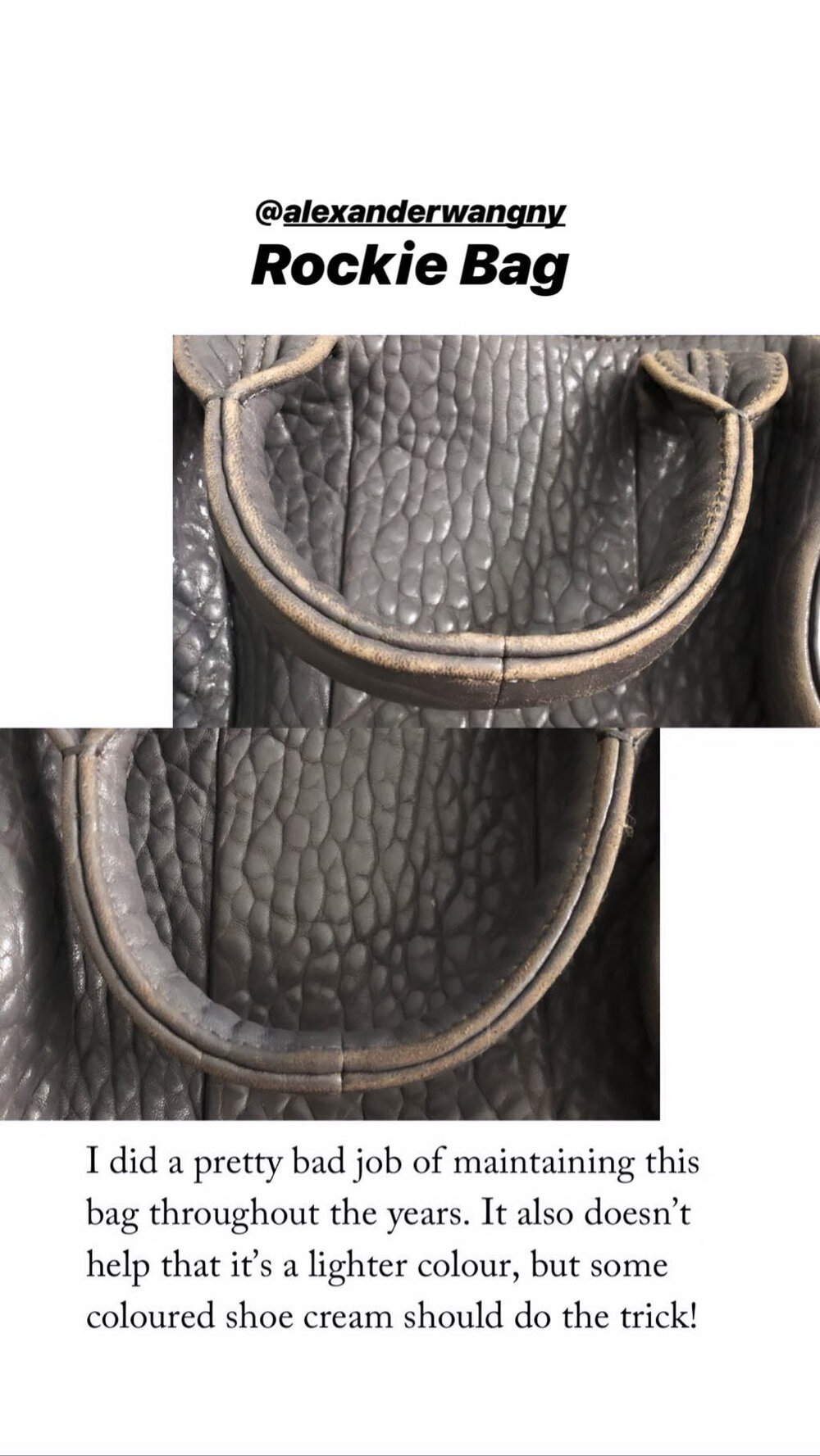 løfte plakat husdyr Leather Bag Care and Storage (Chanel, Balenciaga, Dior) — The Ordinary Wongs