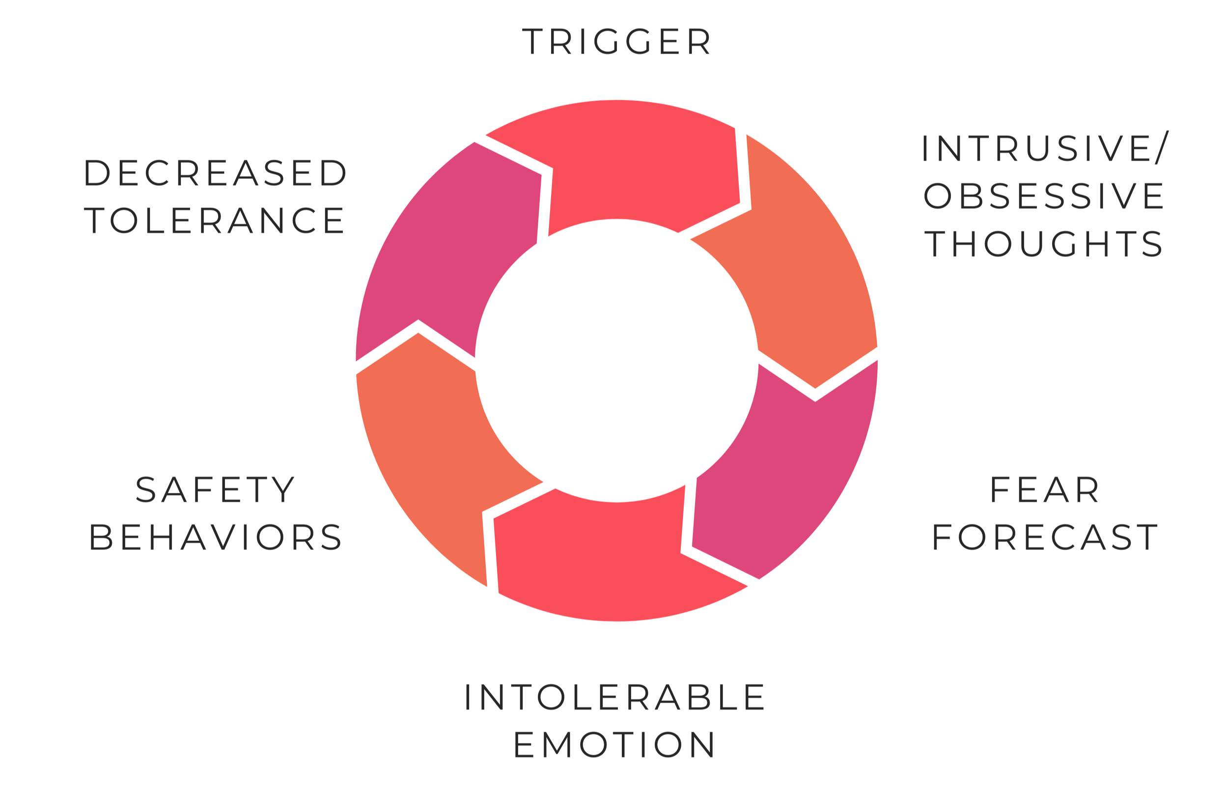The Tangible Therapy Anxiety cycle demonstrating the process of how anxiety works