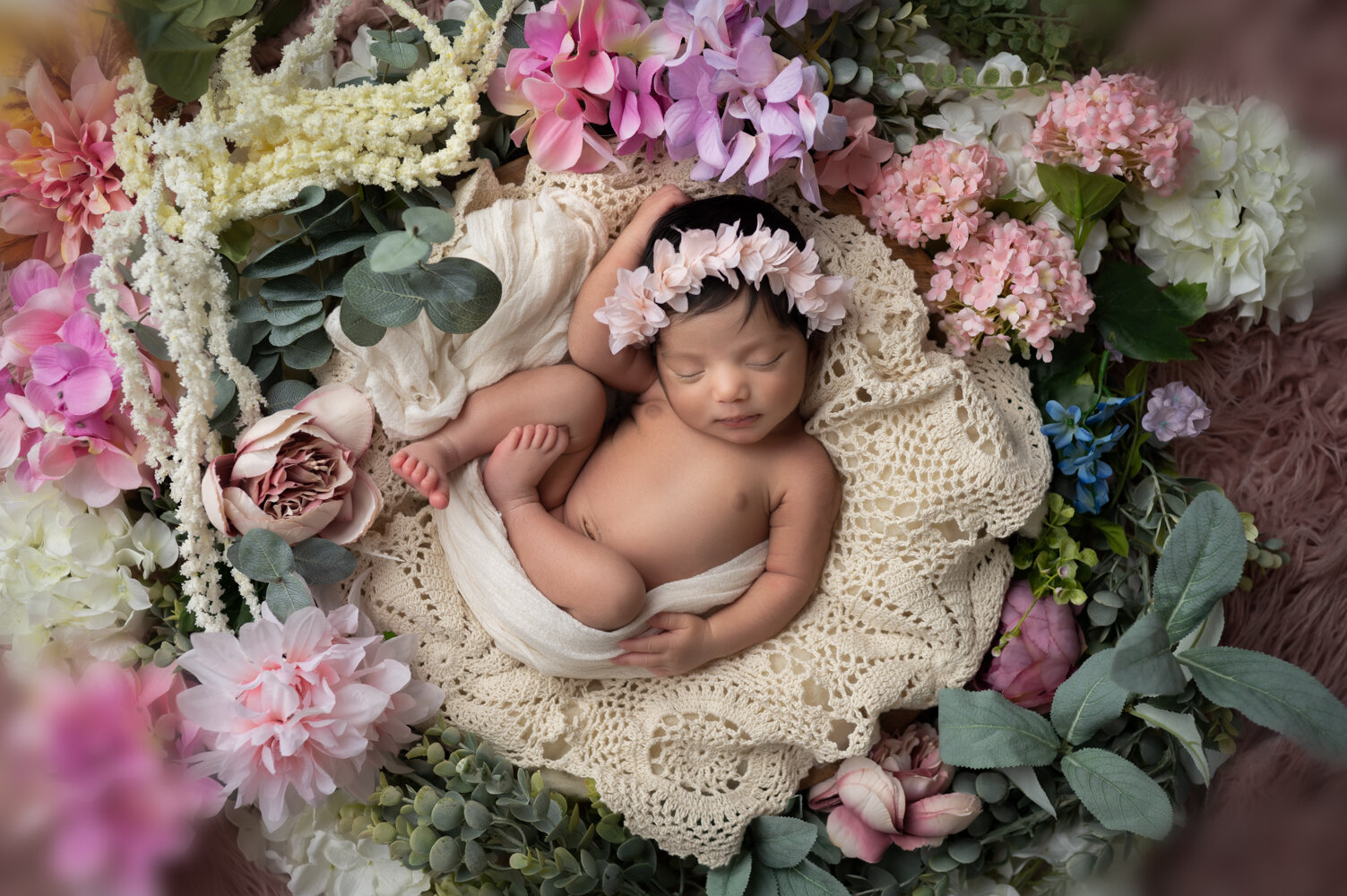 studio_newborn_portraits_columbus_ohio_wildflower_fine_art_portraits