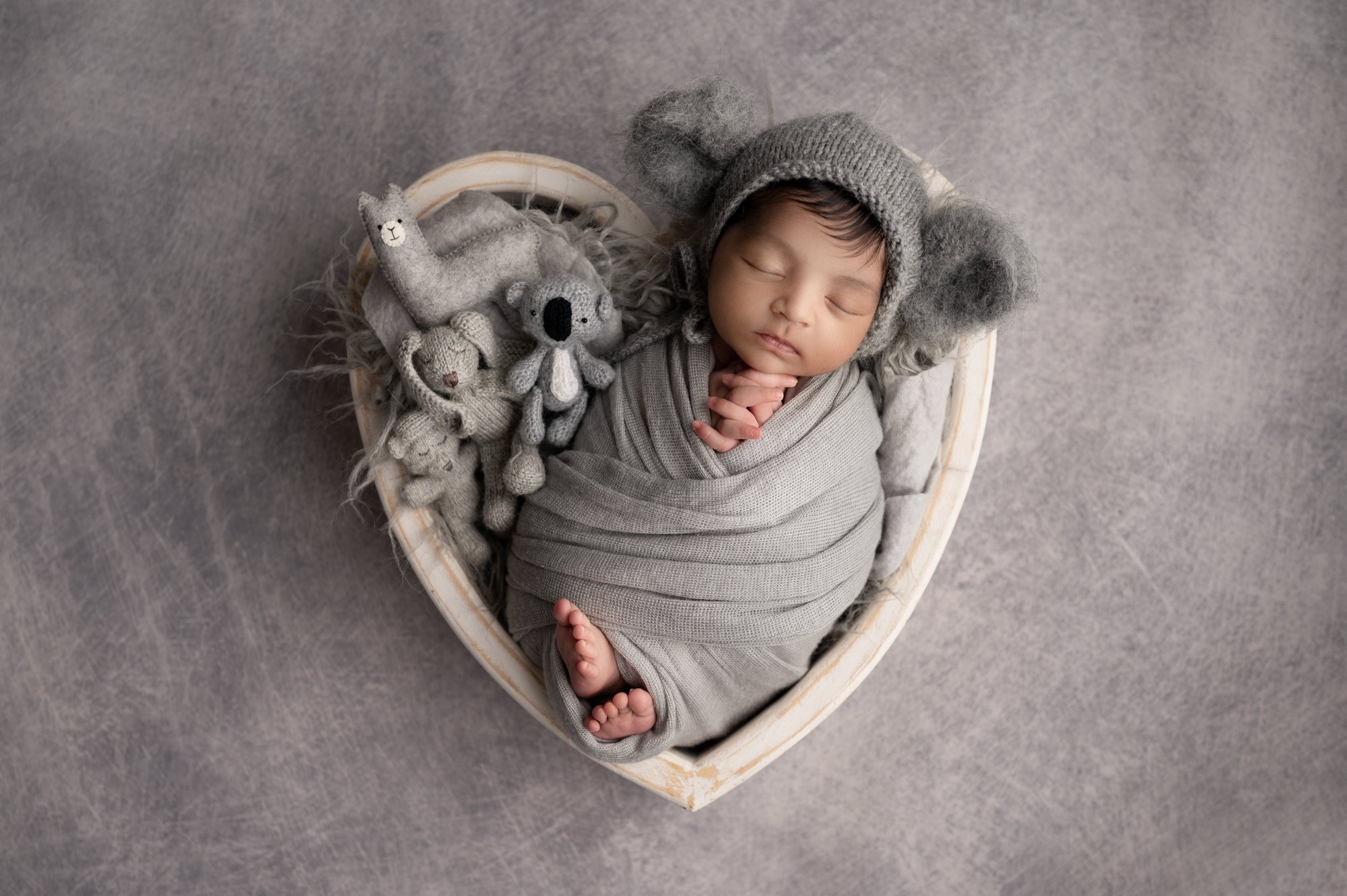 Baby Boy Koala hat newborn photos