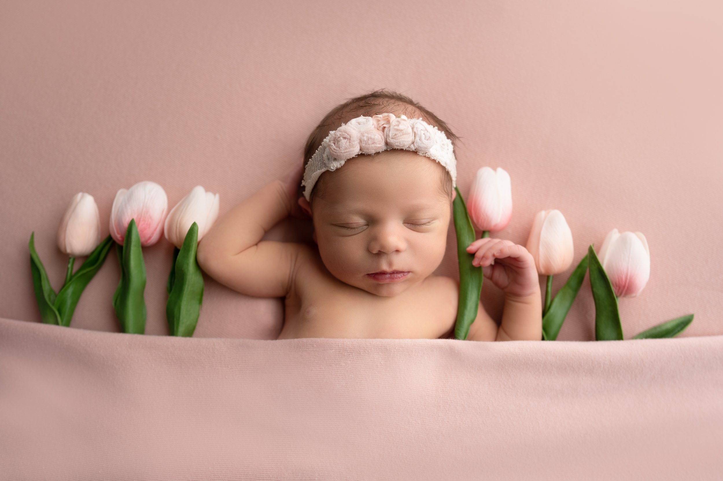 newborn baby girl photo shoot with tulips
