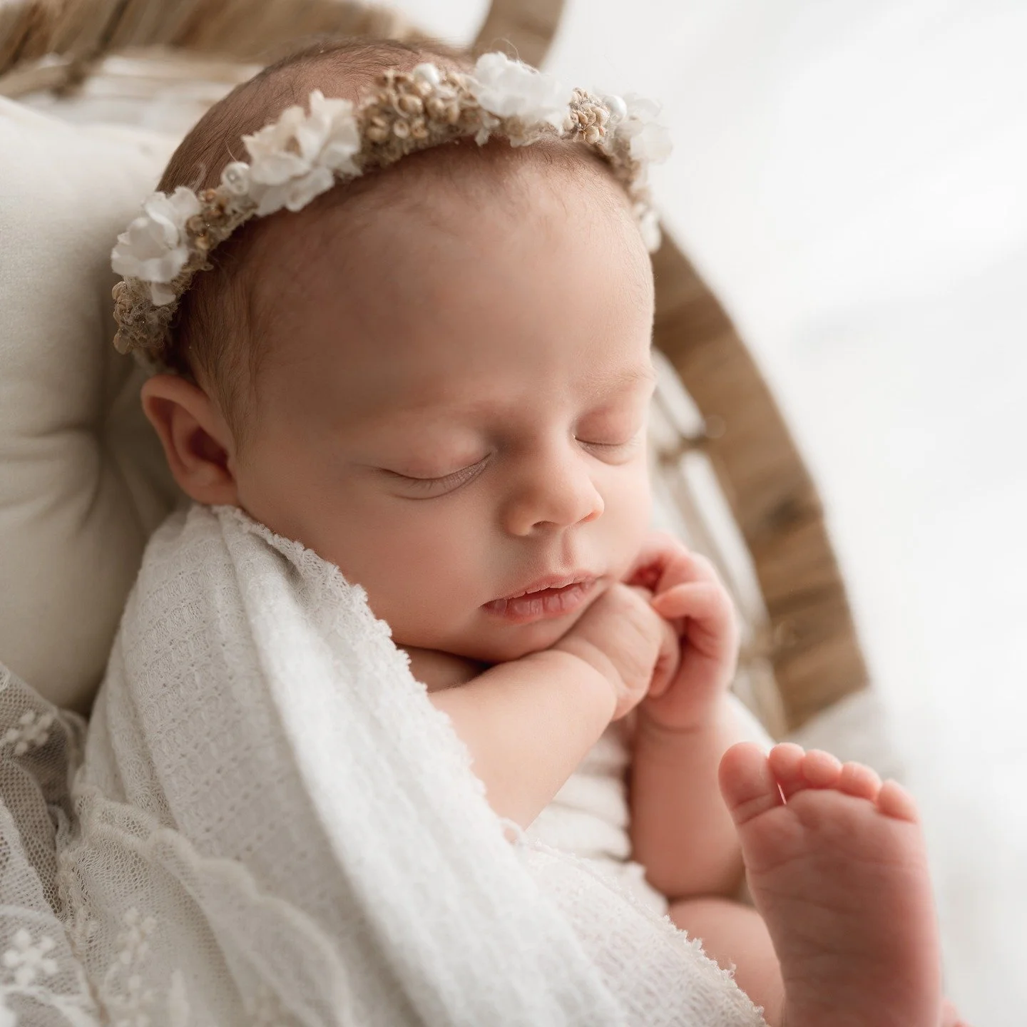 This is the sweet little one who I had to reschedule her newborn photos due to my migraine. She was just perfect and I'm loving these neutral setups!

We did capture some colorful ones too, just loving this vibe!

We are now booking February and Marc