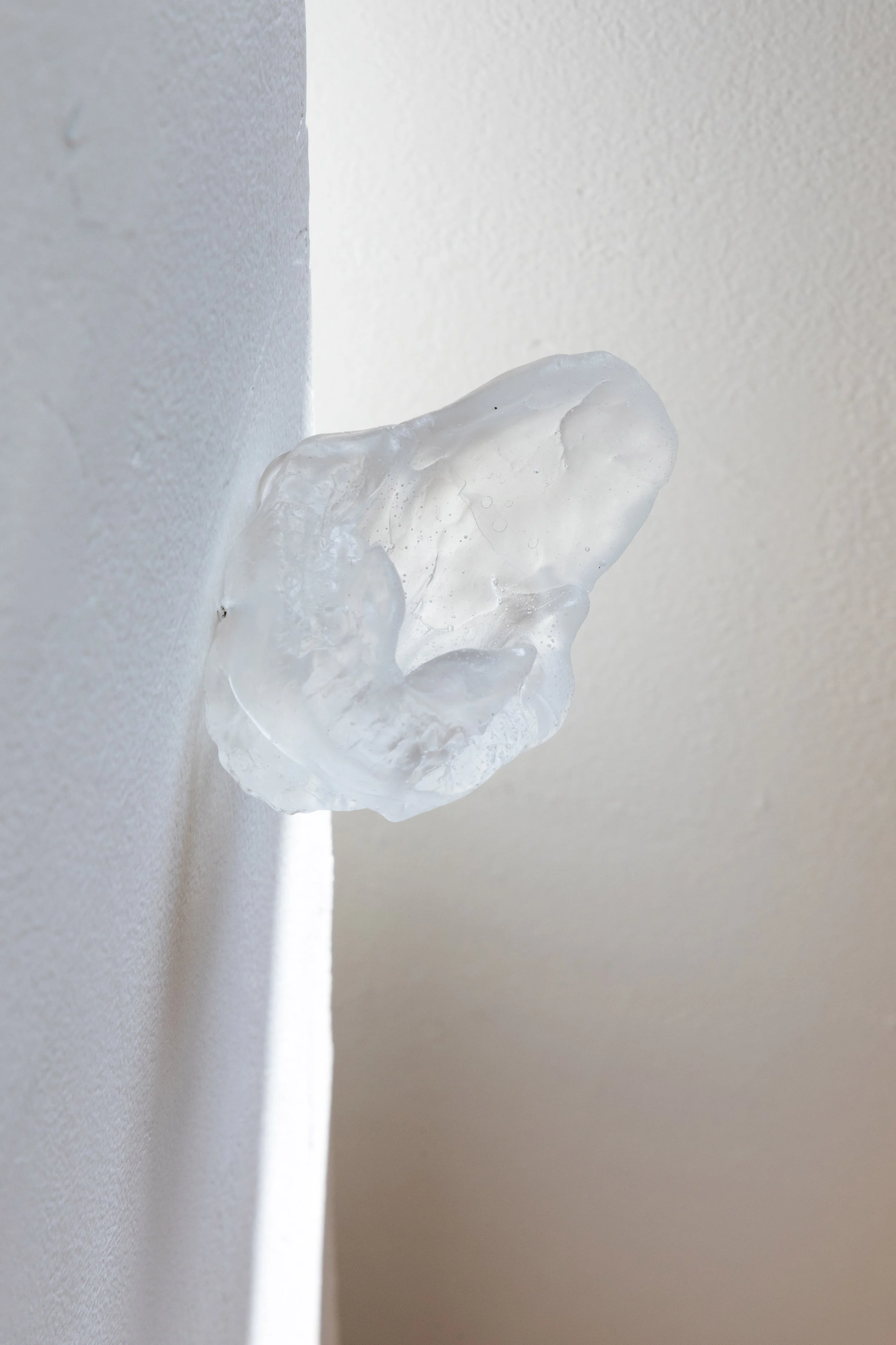 Clear(web).jpg