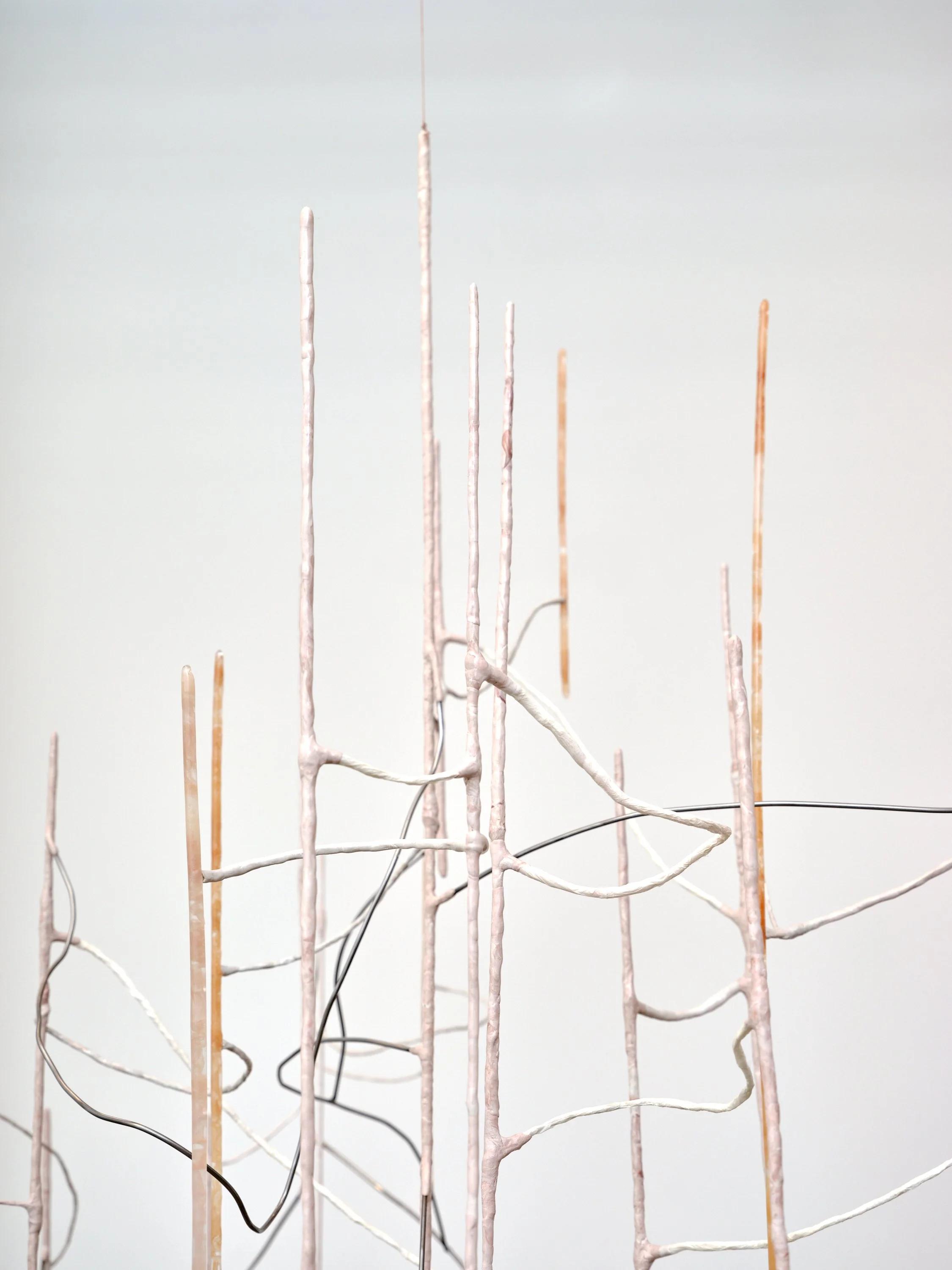 Jeenho Seo, reverse sonification(mother), 2025 (4).jpg