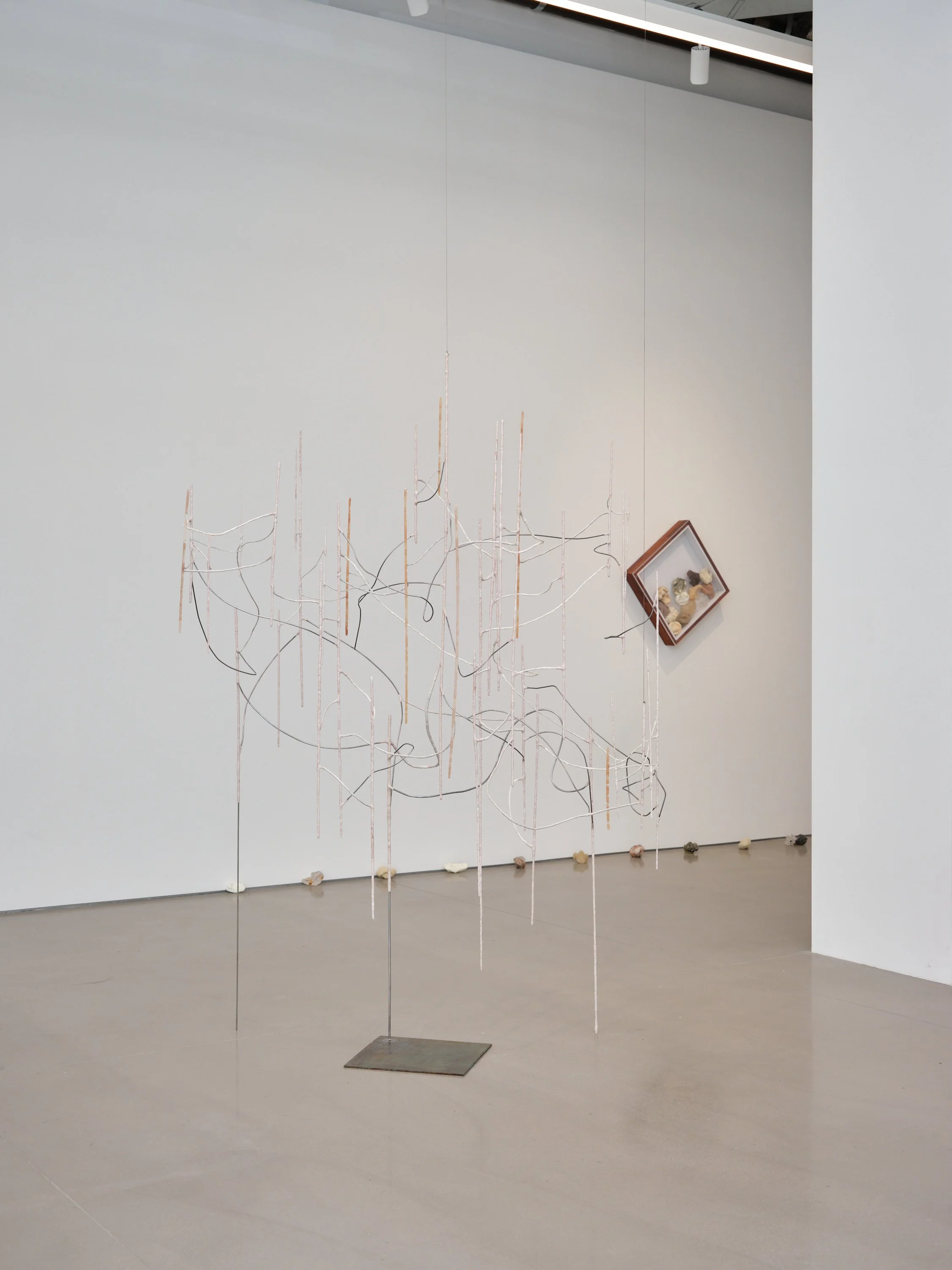 Jeenho Seo, reverse sonification(mother), 2025 (2).jpg