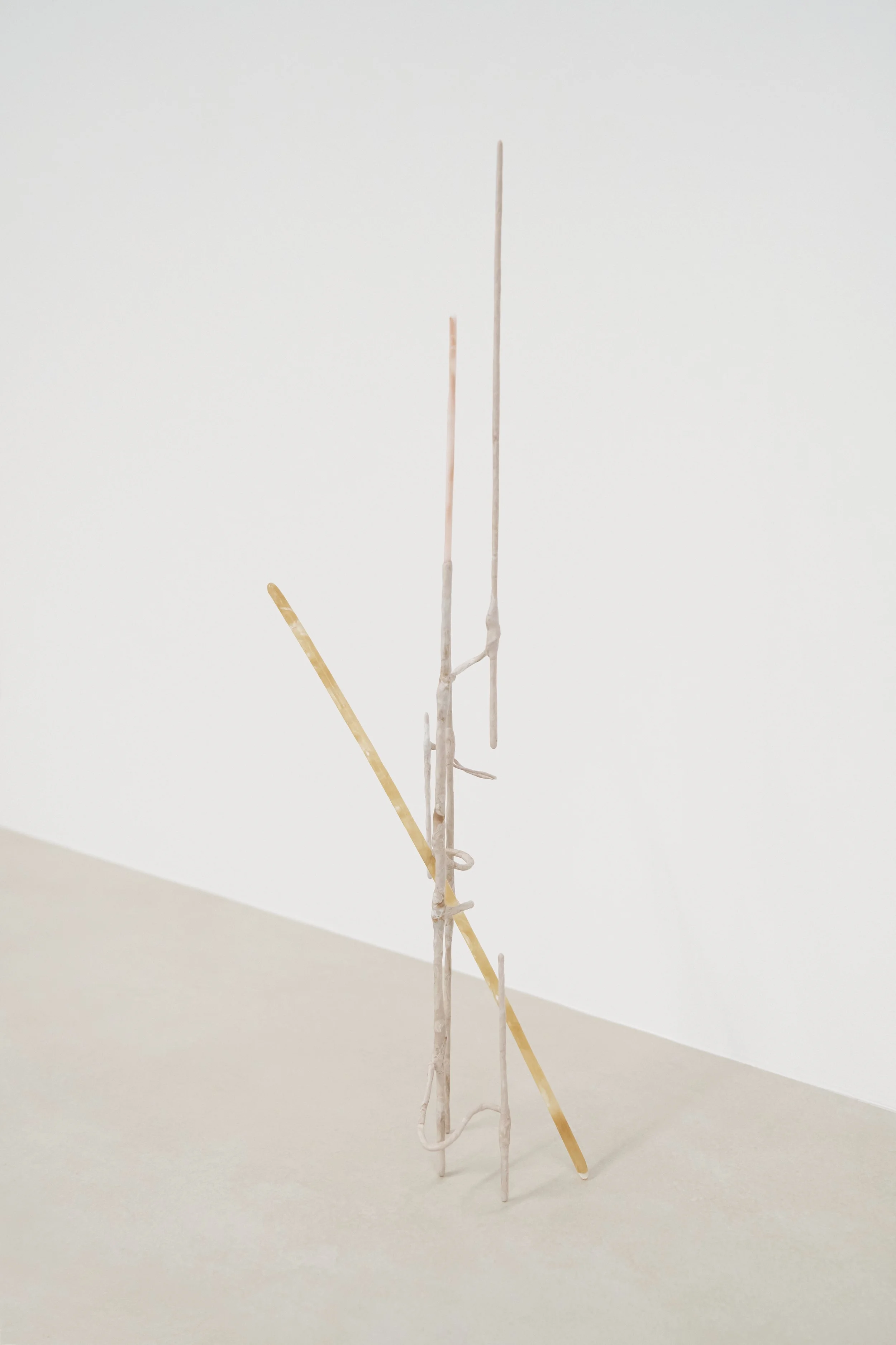 (high)untitled(son).jpg