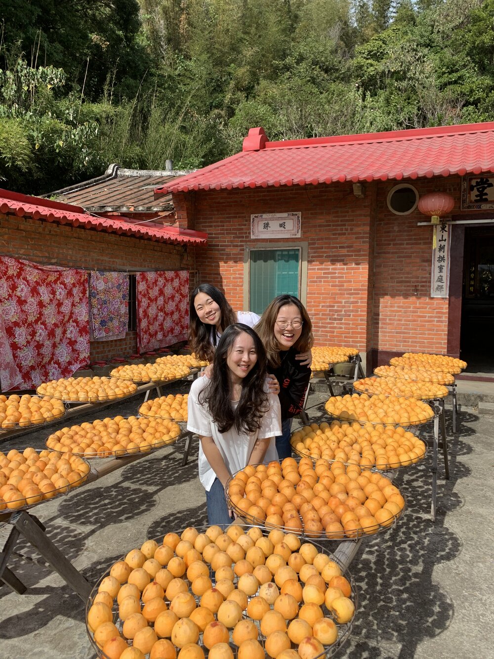 hsinchu-persimmon-farm-12.jpg