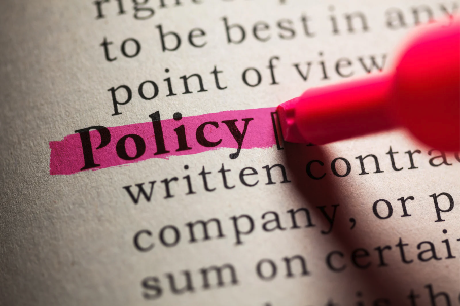 Policy Issues Series: Public Safety