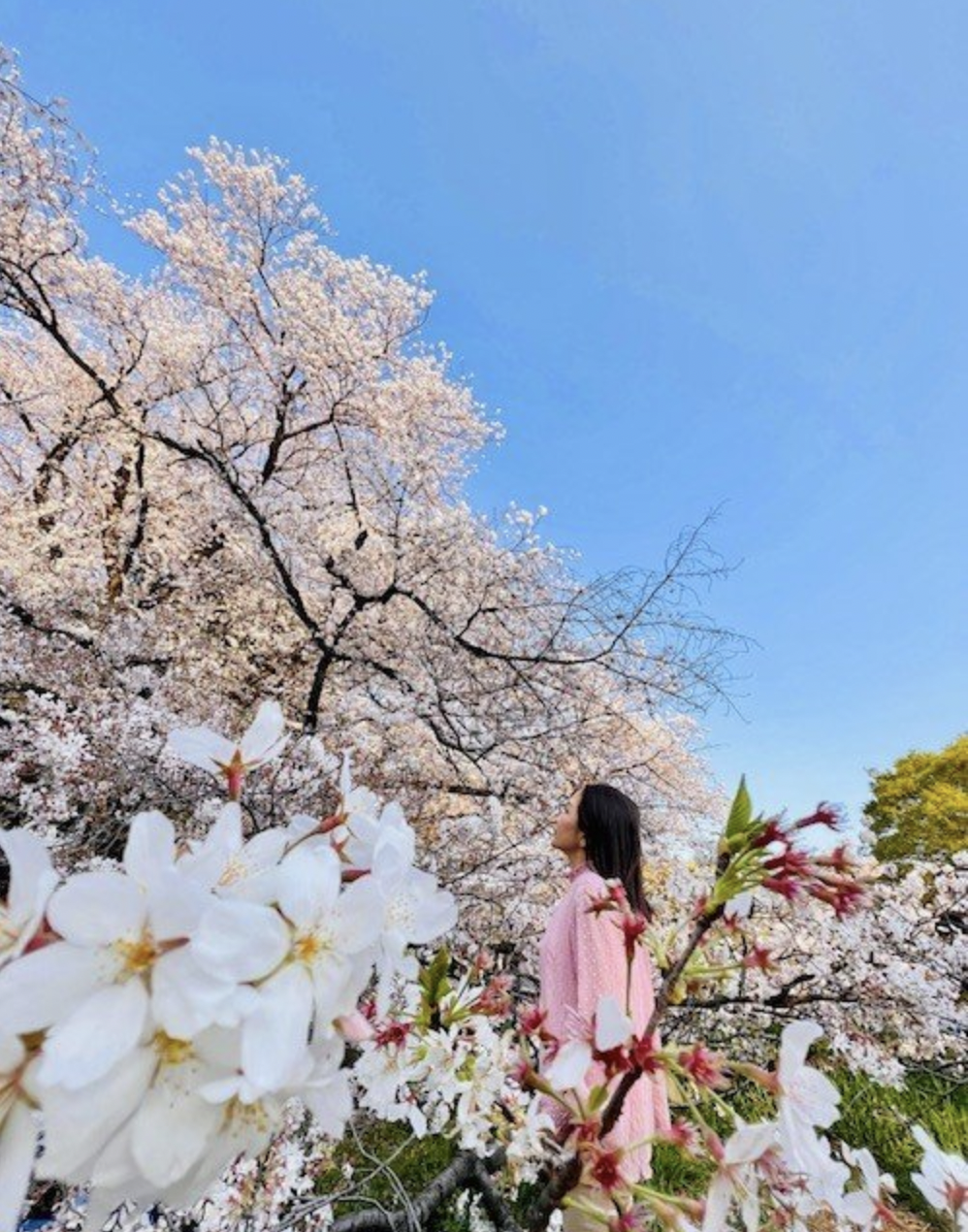 #183 What are the "Survival Skills" We Will Need in the Future?