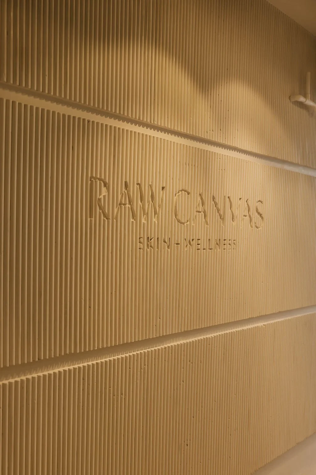 Raw Canvas Skin + Wellness