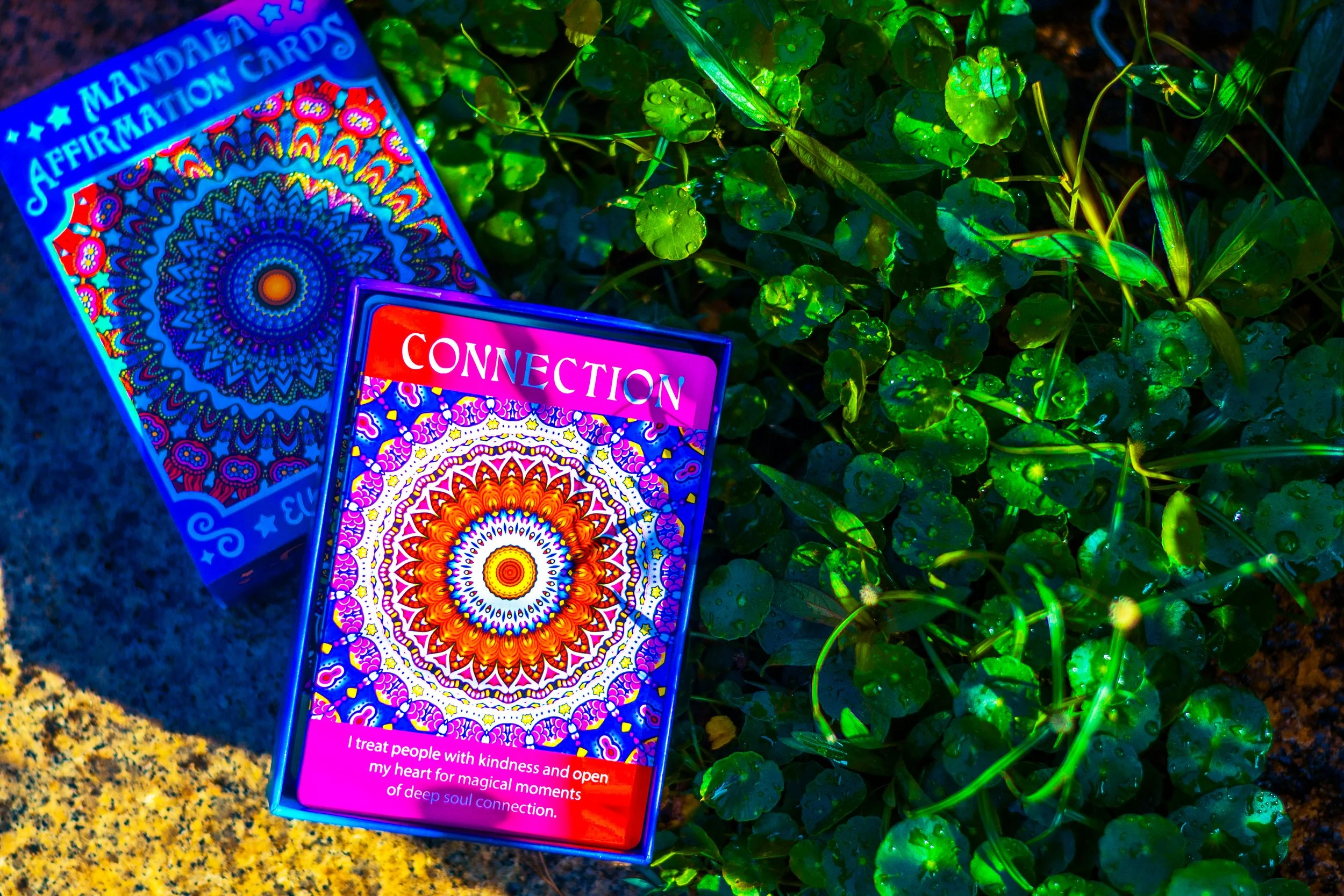 EllenStapleton_AffirmationCards_Penang_15.jpg