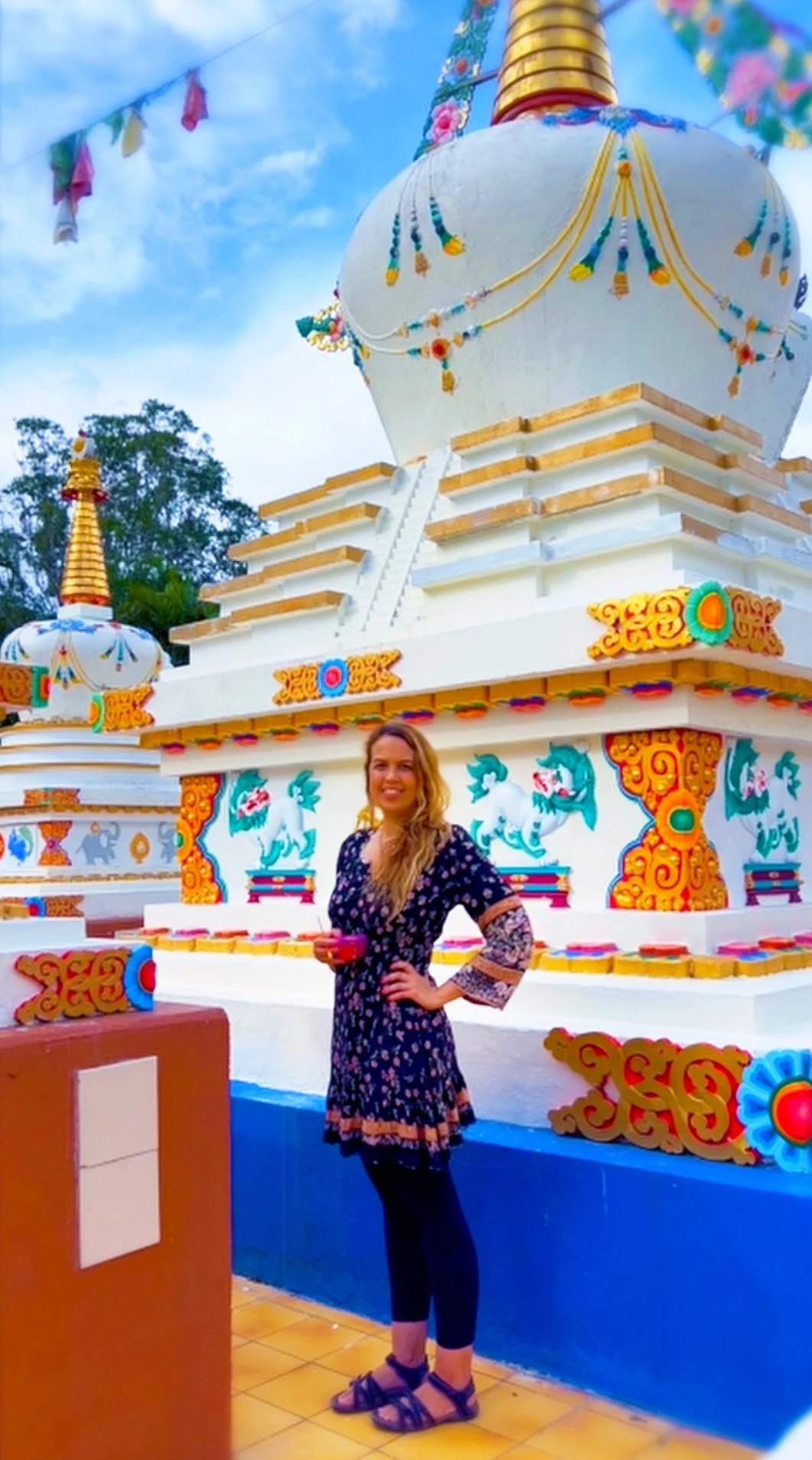 EllenStapleton_Chenrezig_Stupa_Cover_05_finished.jpg
