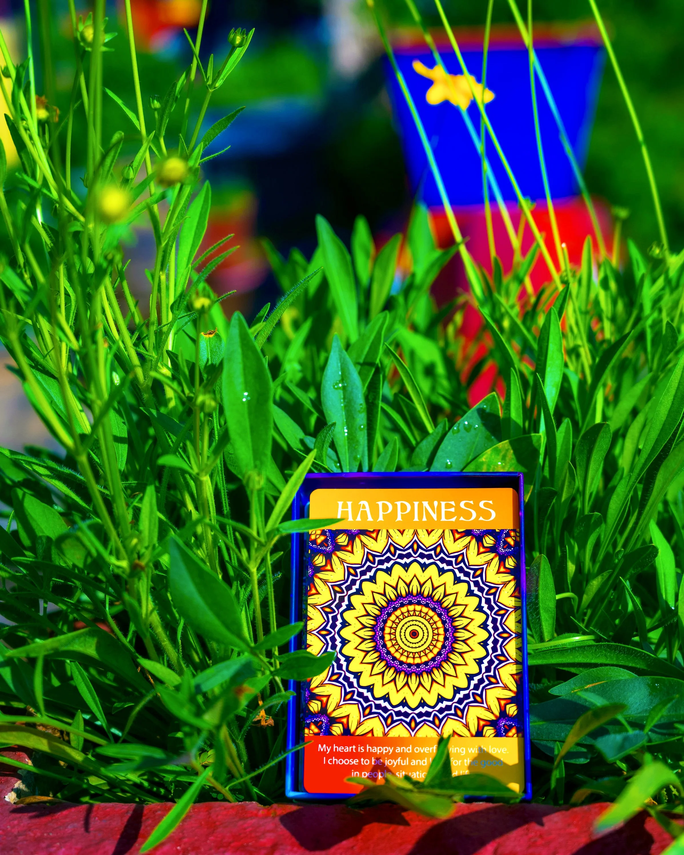 EllenStapleton_AffirmationCards_Penang_12.jpg