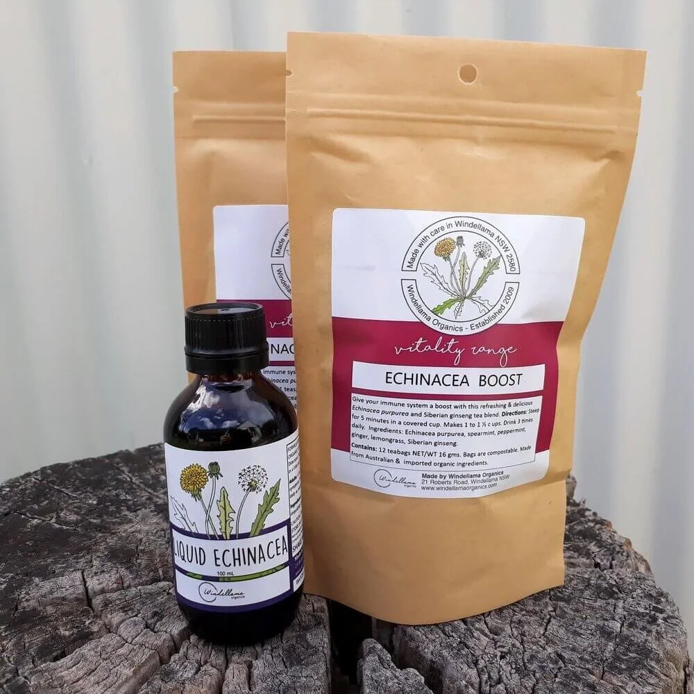 Windellama Organics echinacea.jpeg