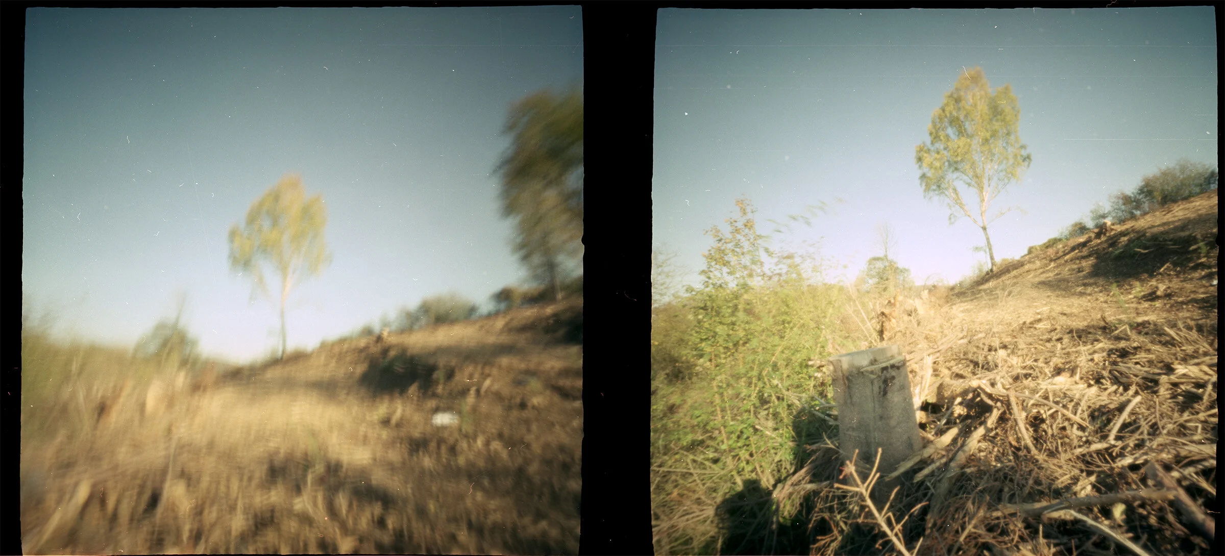 pinhole(automne2011)-07.jpg