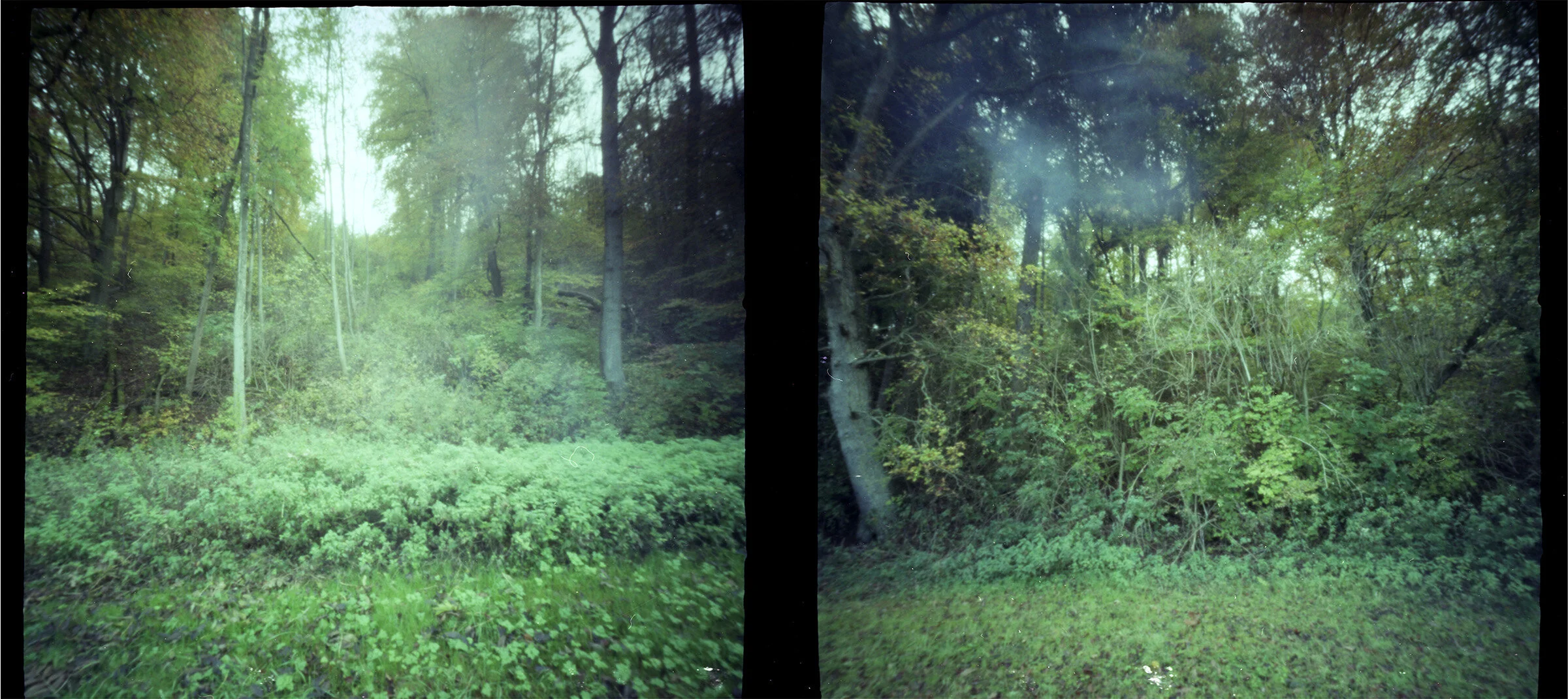 pinhole(automne2011)-03.jpg