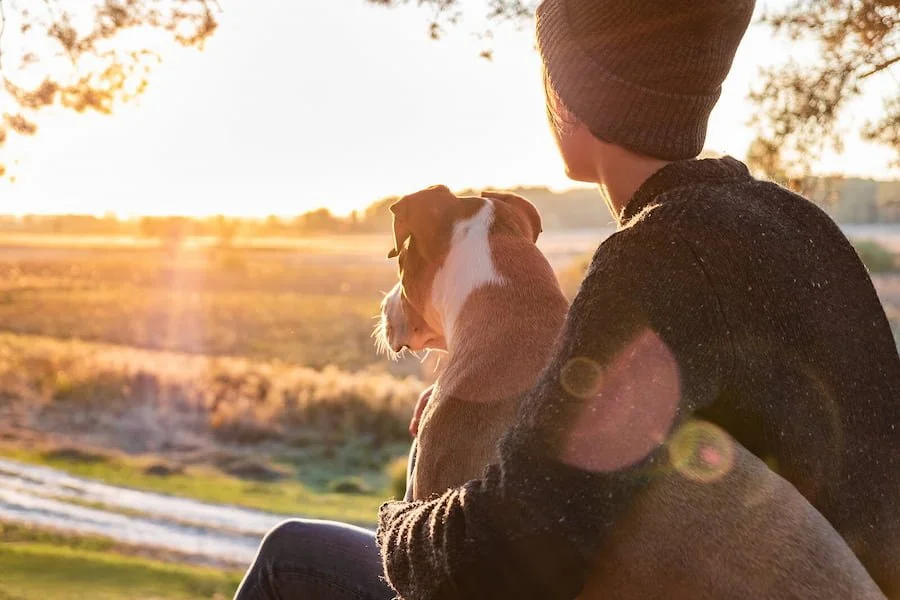 A young adult sits with their dog as they watch the sunset. This could represent the joy cultivated by working with a teenage therapist in San Francisco, CA. Contact a teenage therapist in San Francisco, CA to learn more about teen therapy. 94118