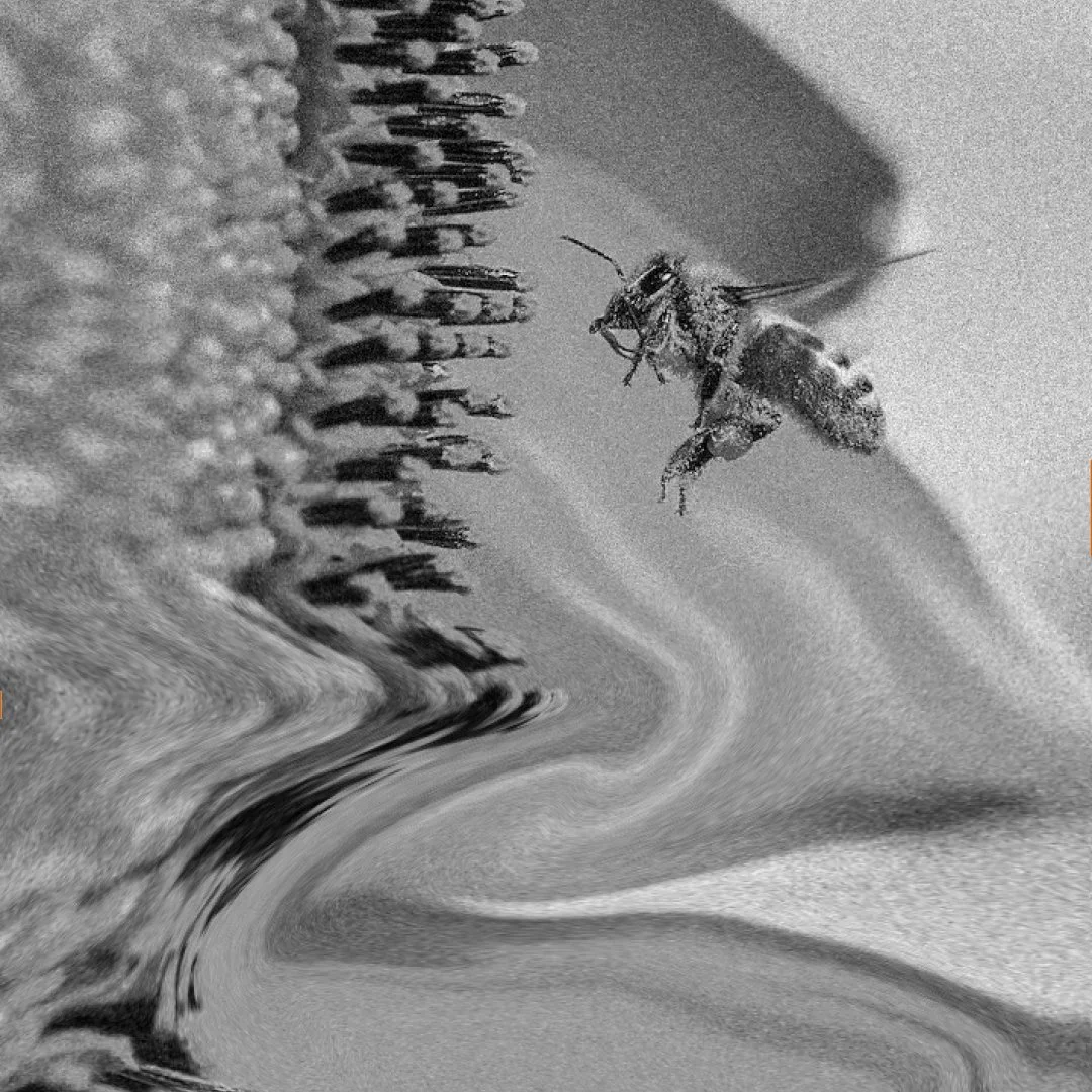 Nectar Art Therapy NDIS Art Therapy Near Me Art Therapy