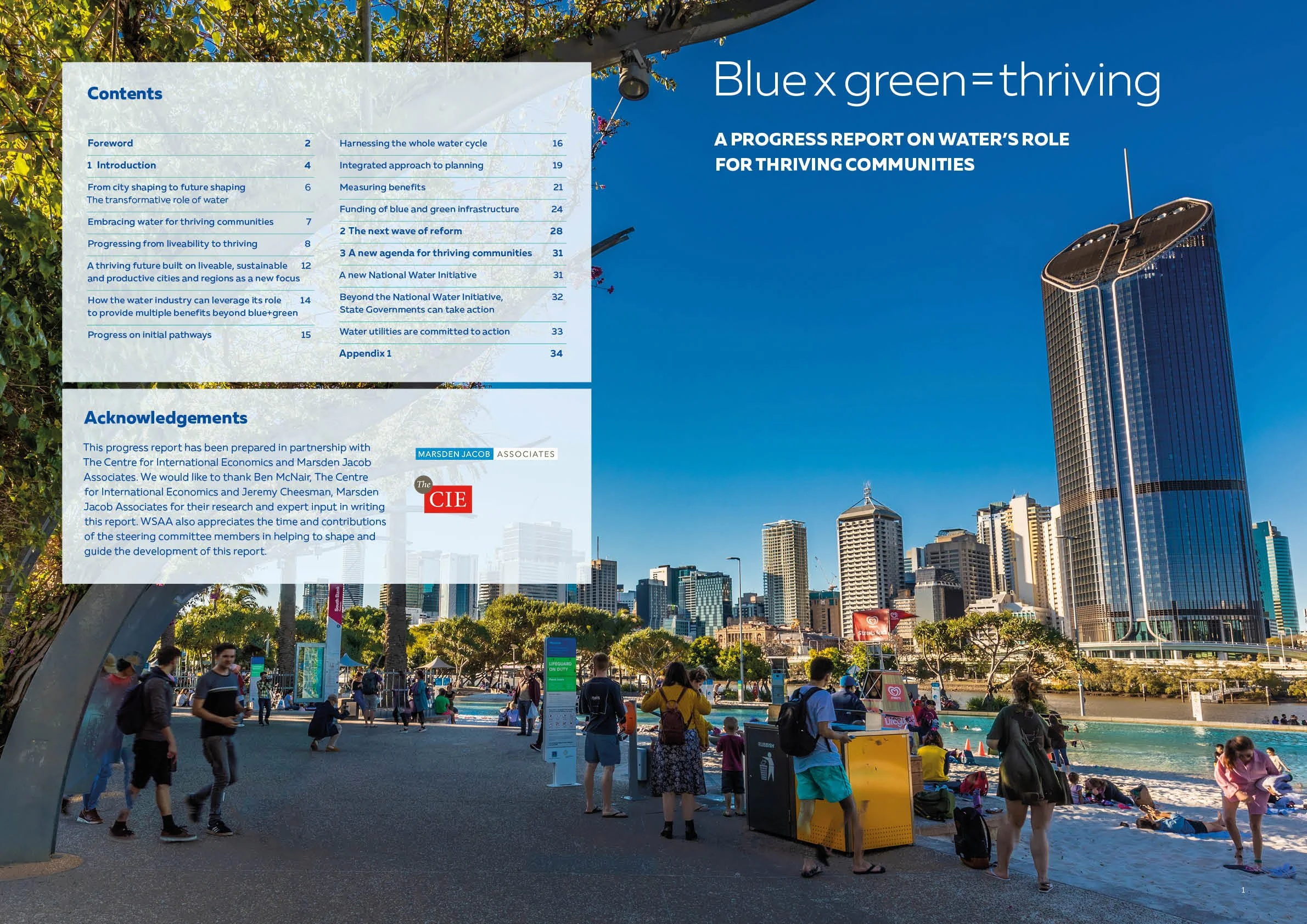 WSAA Thrive book 0001 .jpg